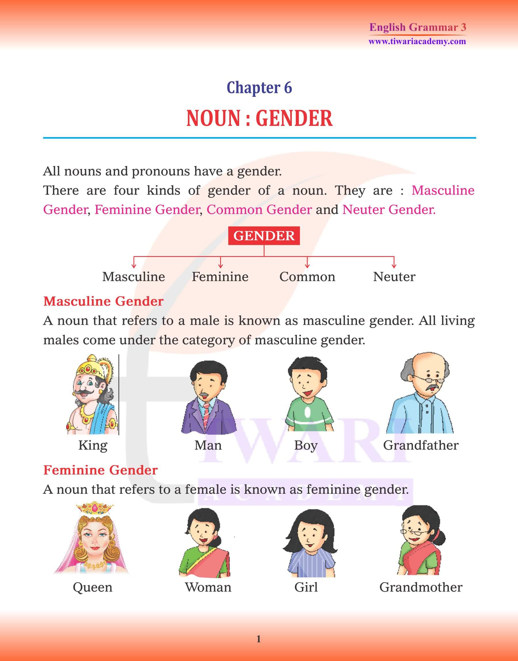 Class 3 English Grammar Chapter 6 Noun Gender