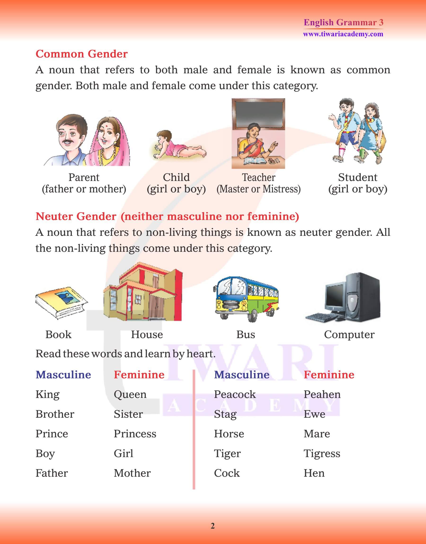 Class 3 English Grammar Noun Gender