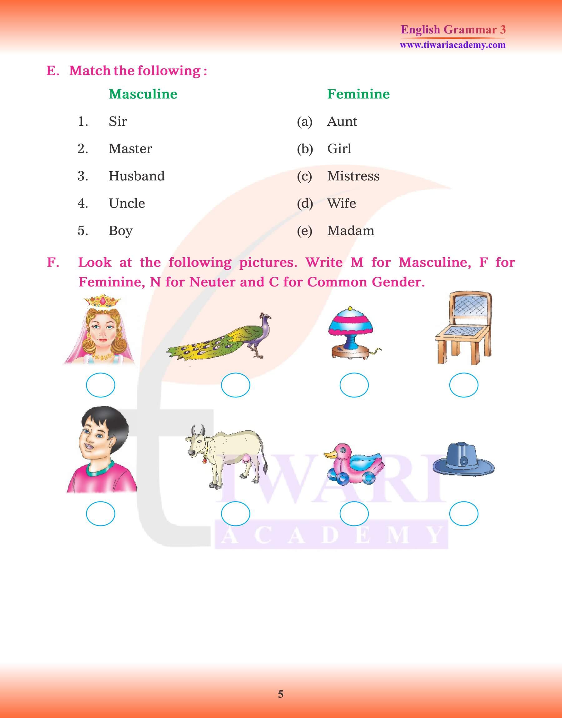 Class 3 English Grammar Chapter 6