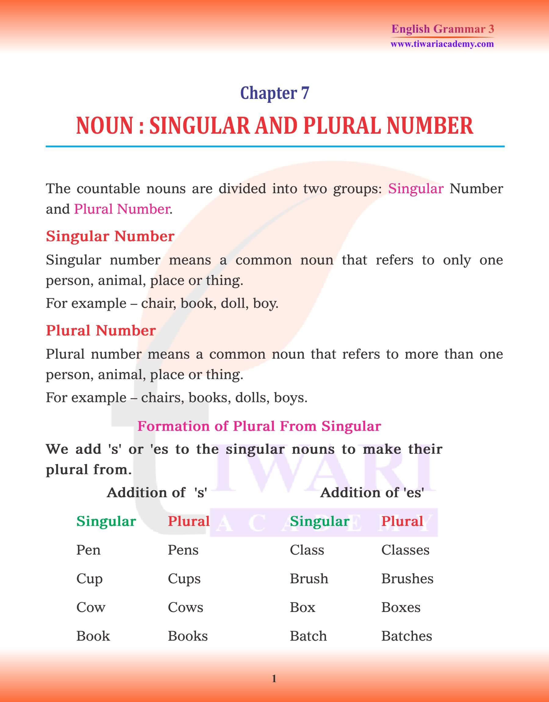 Class 3 English Grammar Chapter 7 Singular and Plural Number