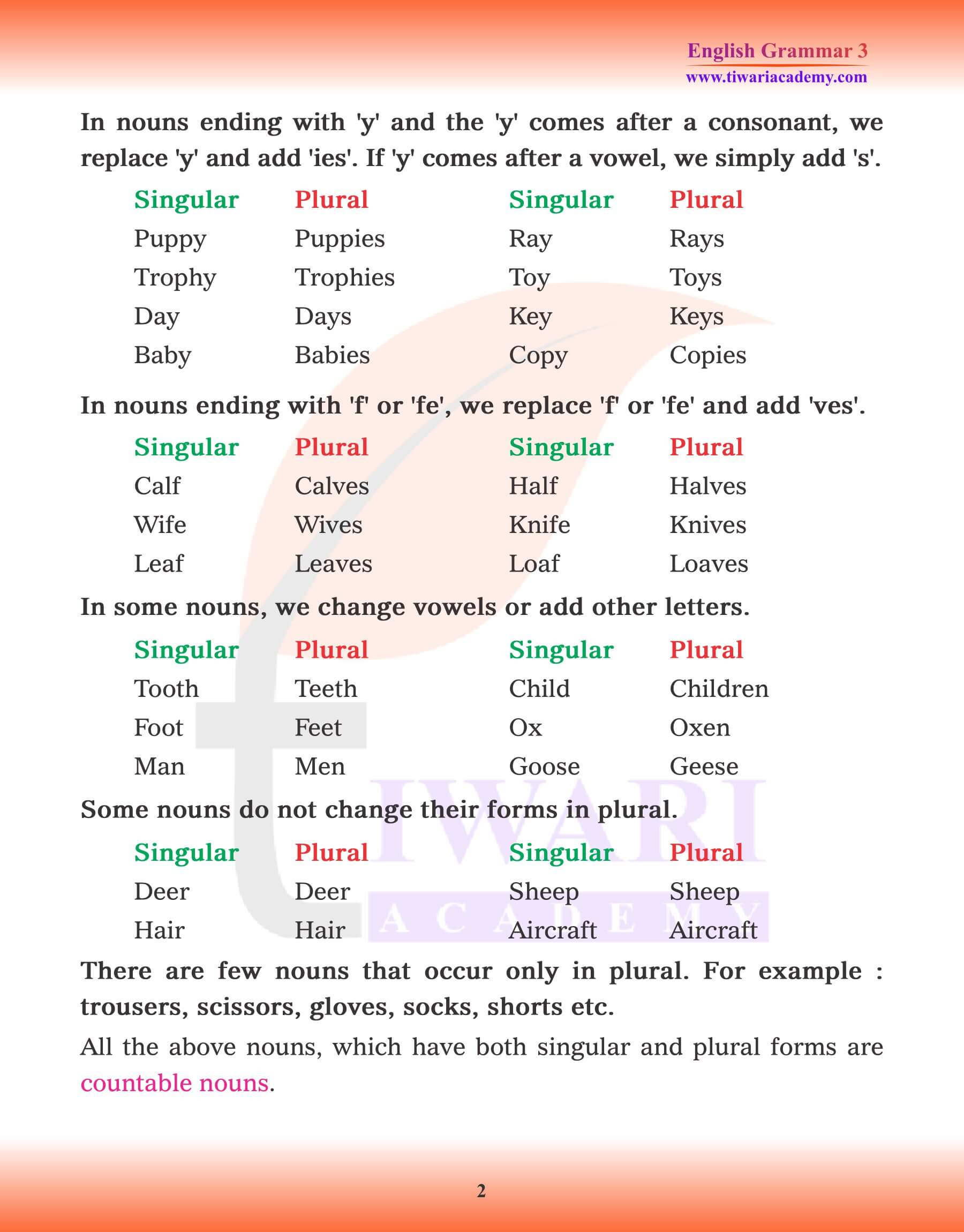 Class 3 Grammar Chapter 7 Singular and Plural Number