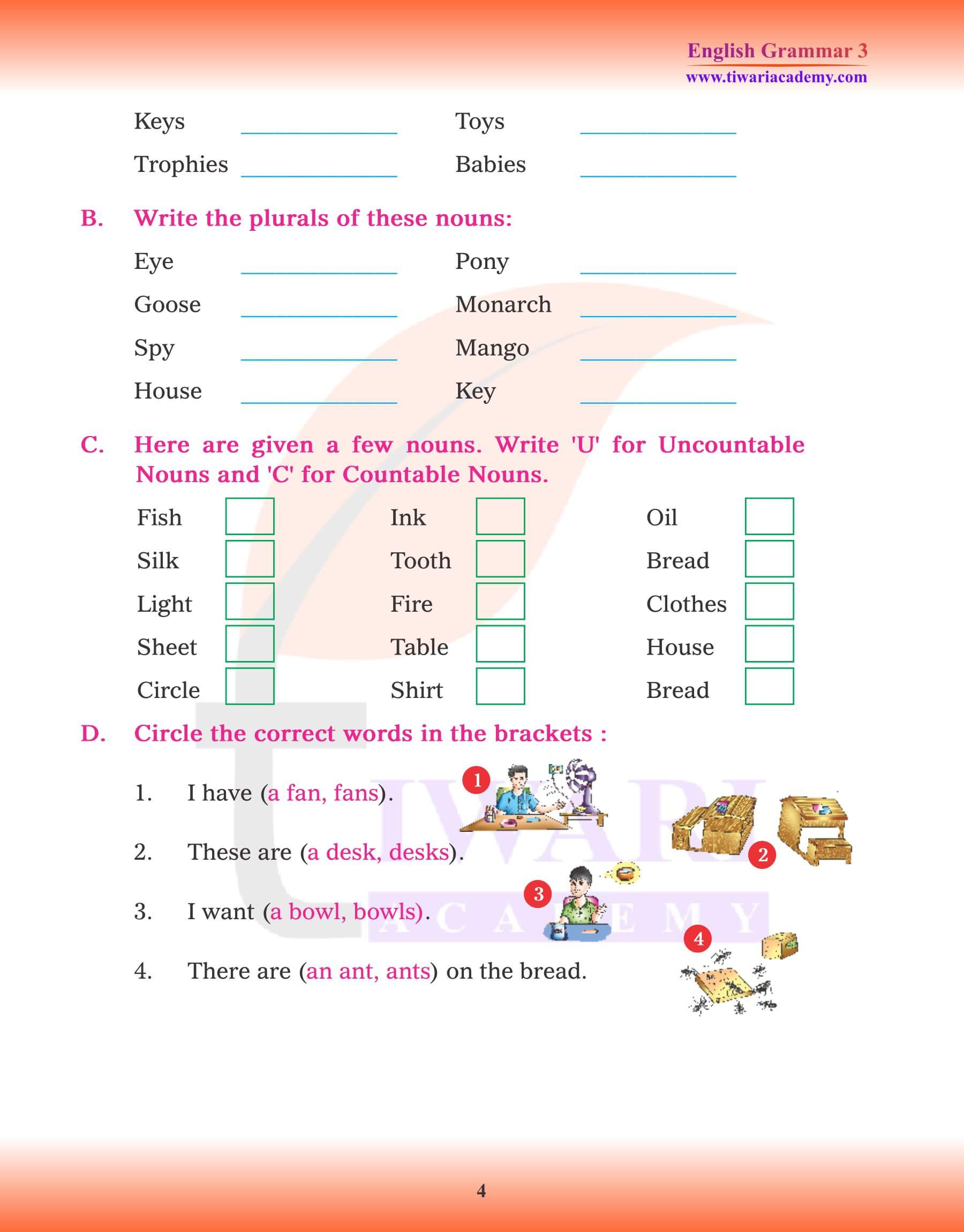 Class 3 English Grammar Chapter 7 Singular and Plural