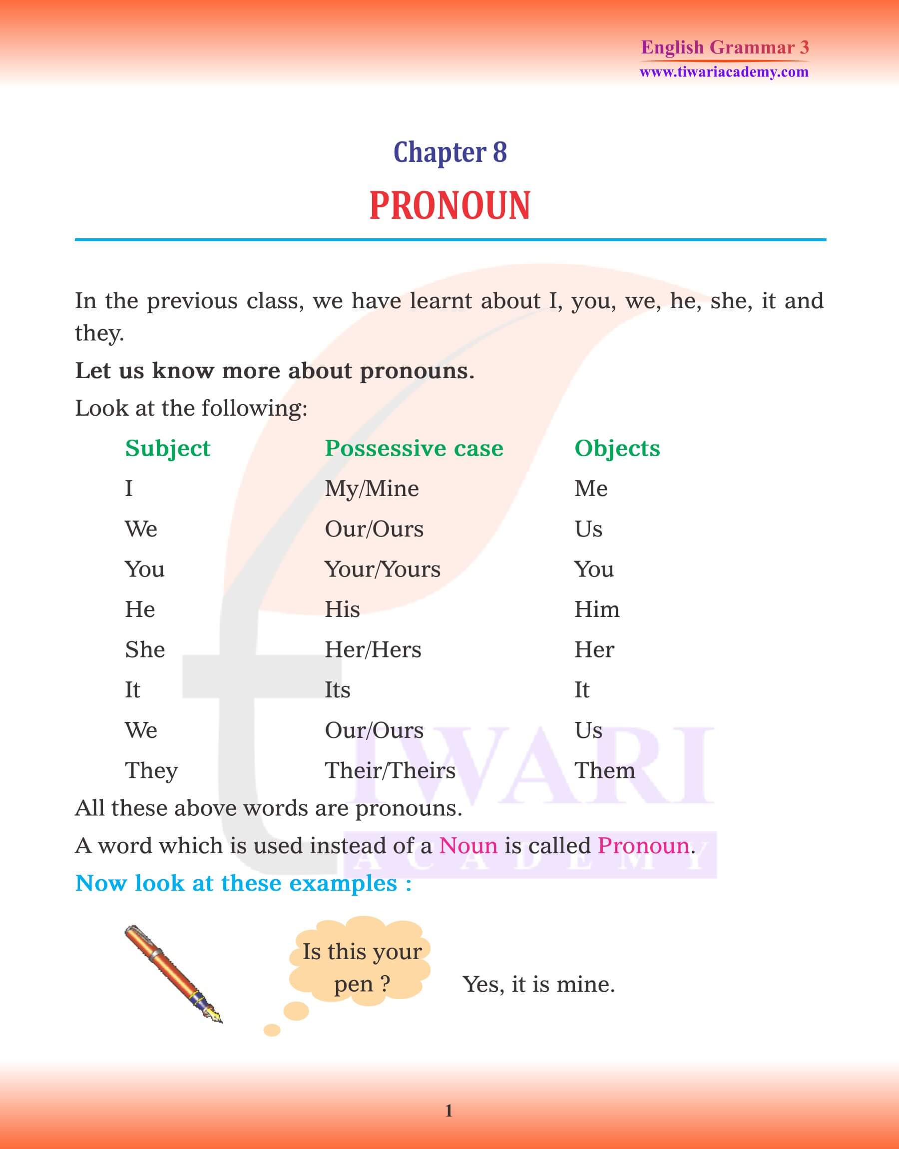 Class 3 English Grammar Chapter 8 Pronoun