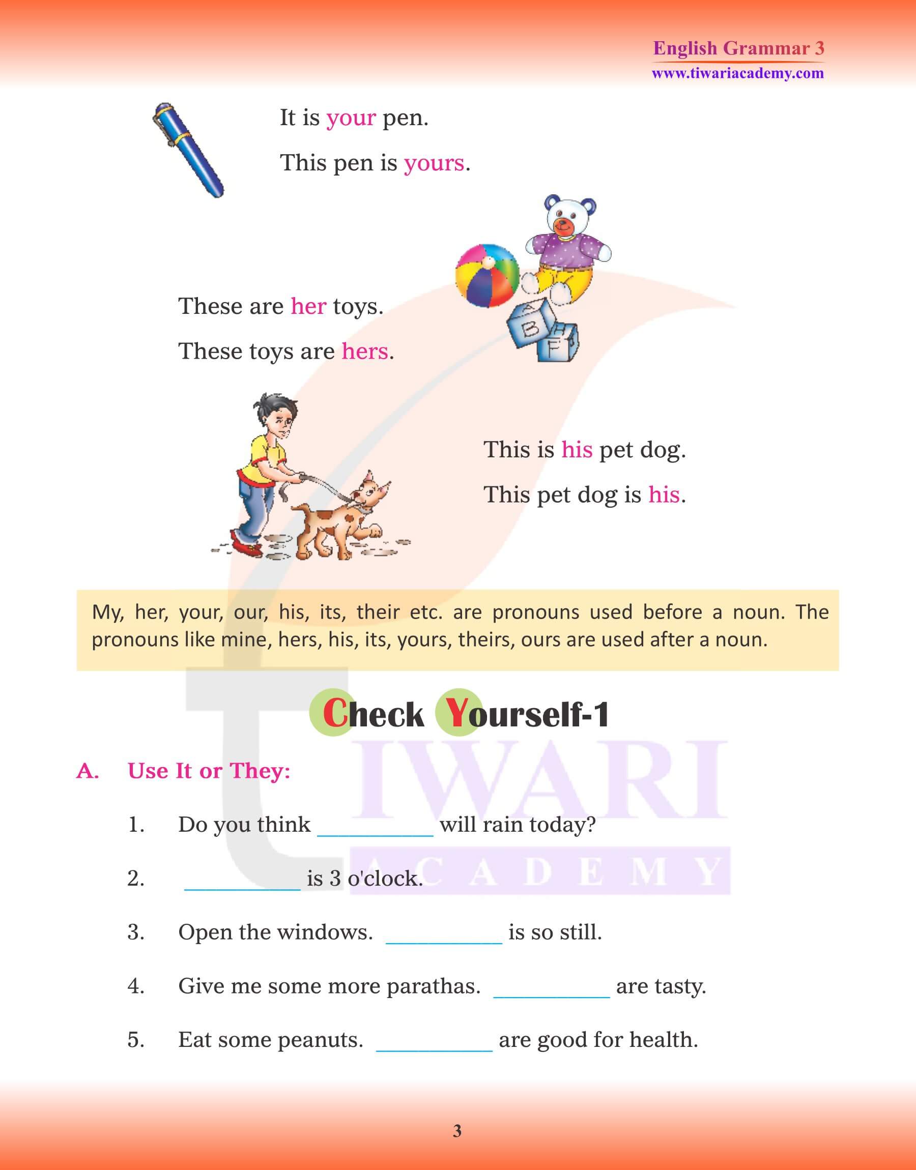 Class 3 English Grammar Pronoun