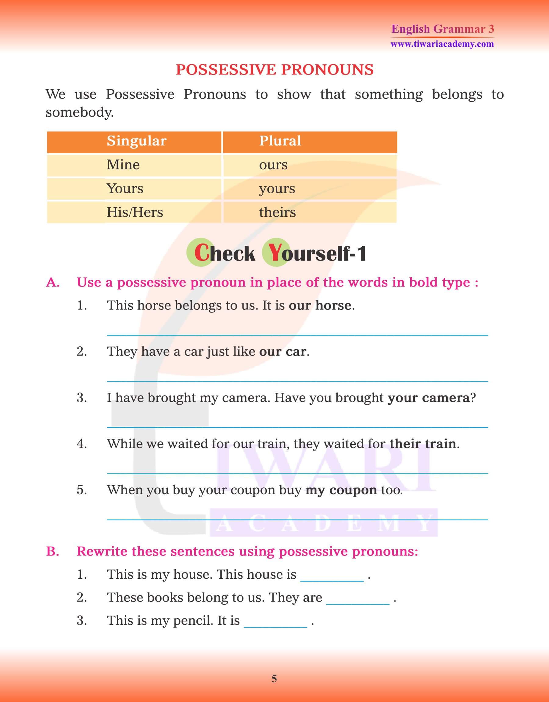 Class 3 English Grammar Pronoun exercises