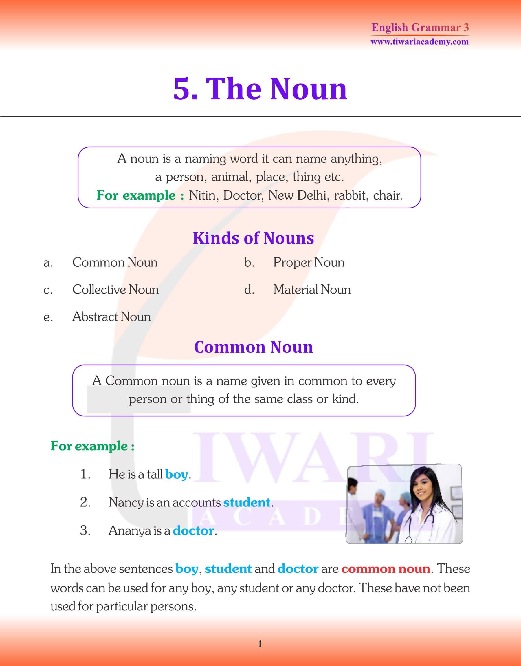English Grammar for Grade 3 Chapter 5 The Noun