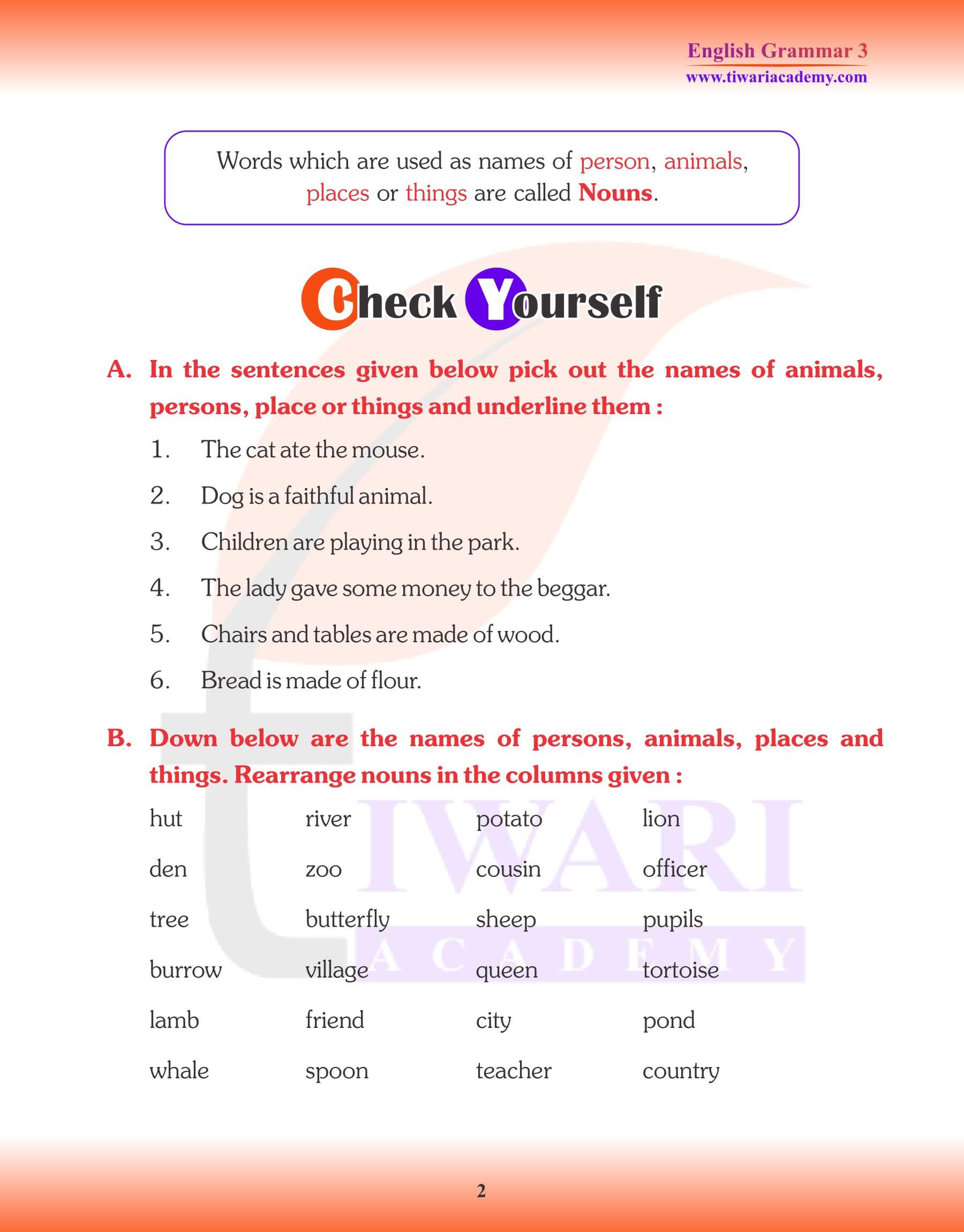 English Grammar for Grade 3 Chapter 5 Noun
