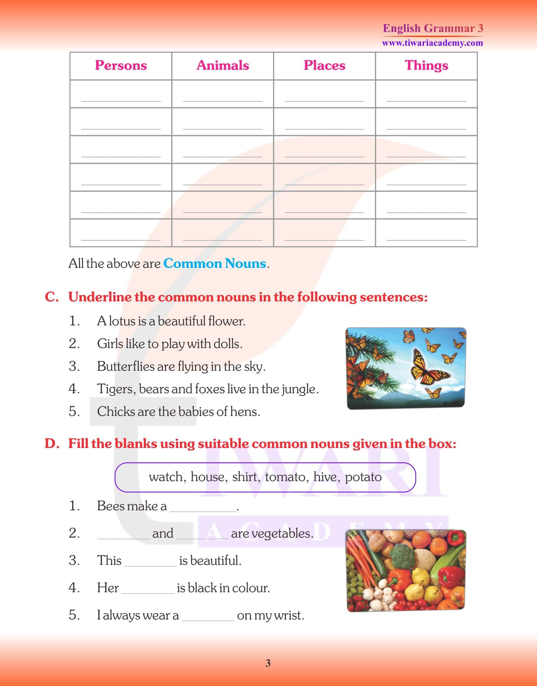 English Grammar for Grade 3 Noun