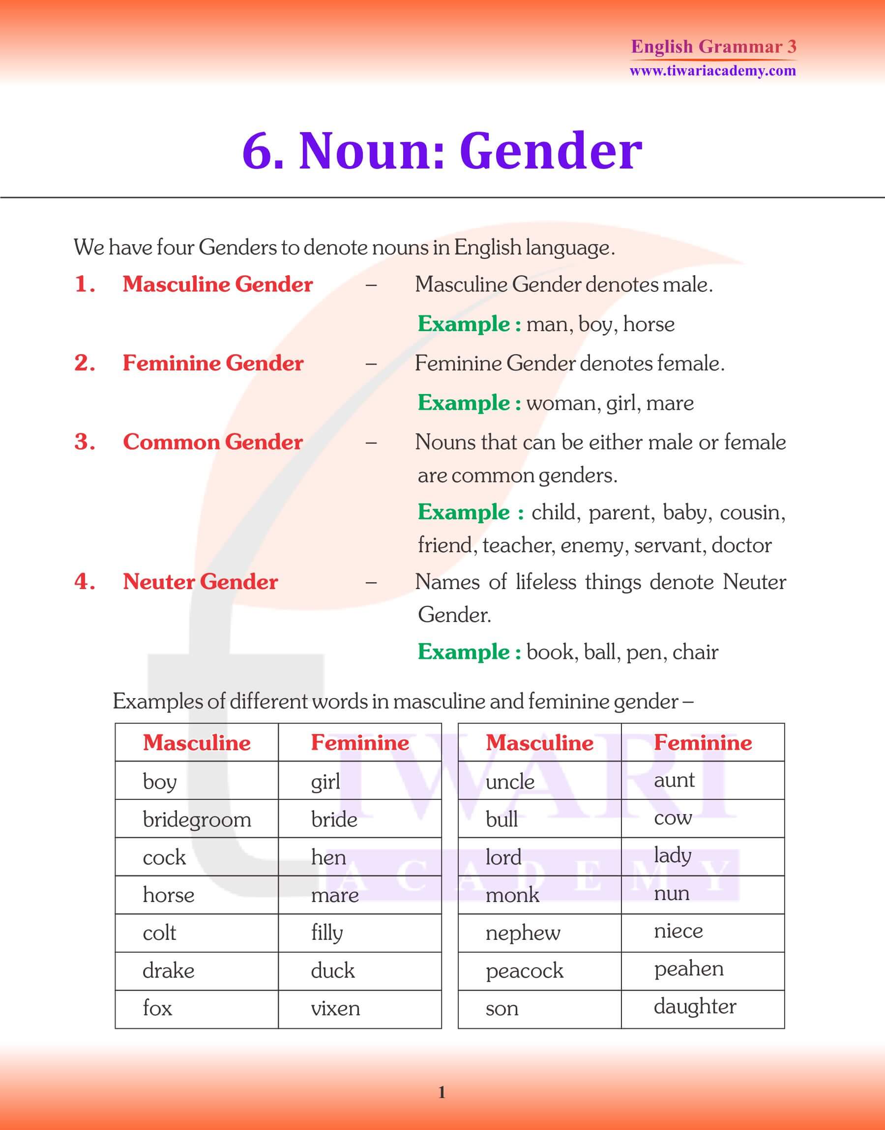 English Grammar for Grade 3 Chapter 6 Noun Gender Kinds