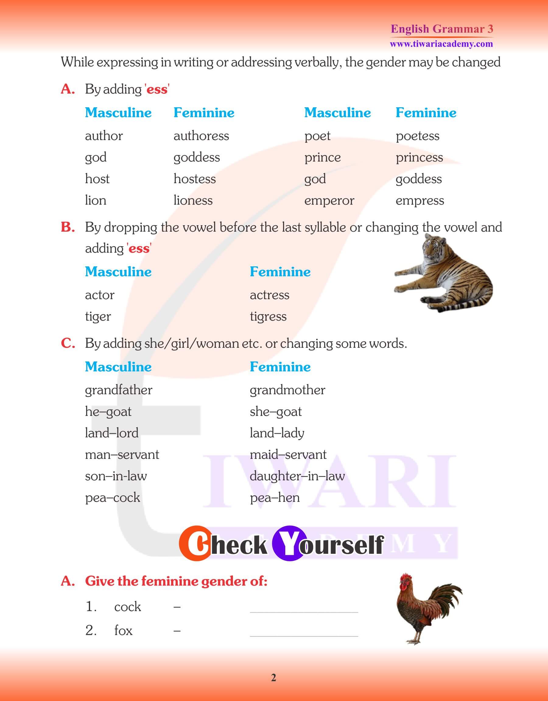 English Grammar for Grade 3 Chapter 6 Gender Kinds