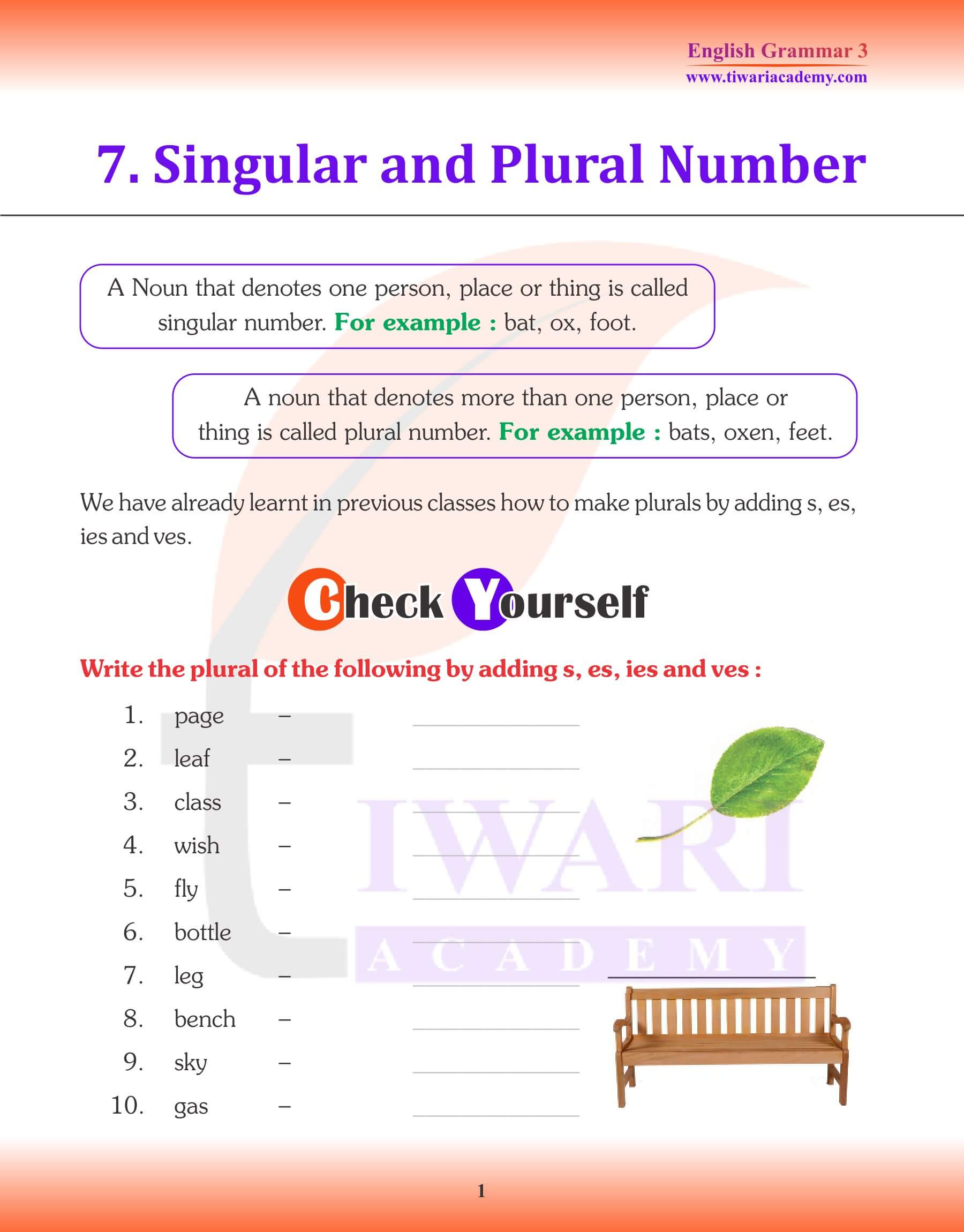 English Grammar for Grade 3 Chapter 7 Noun - Singular and Plural