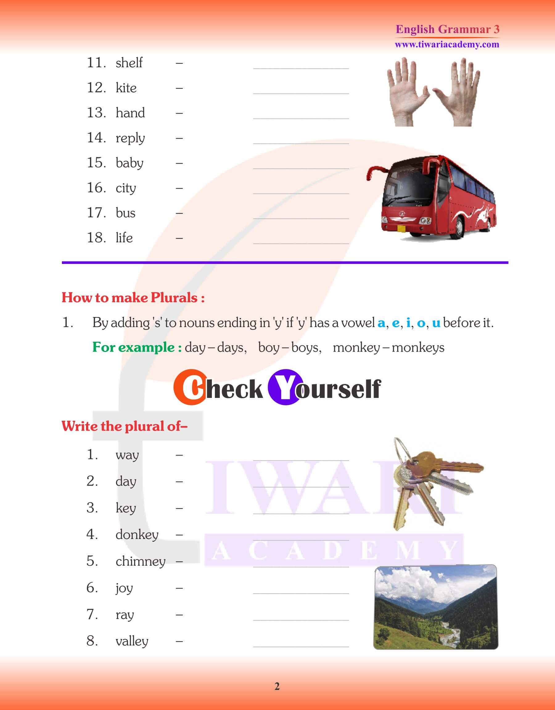 English Grammar for Grade 3 Chapter 7 Singular and Plural