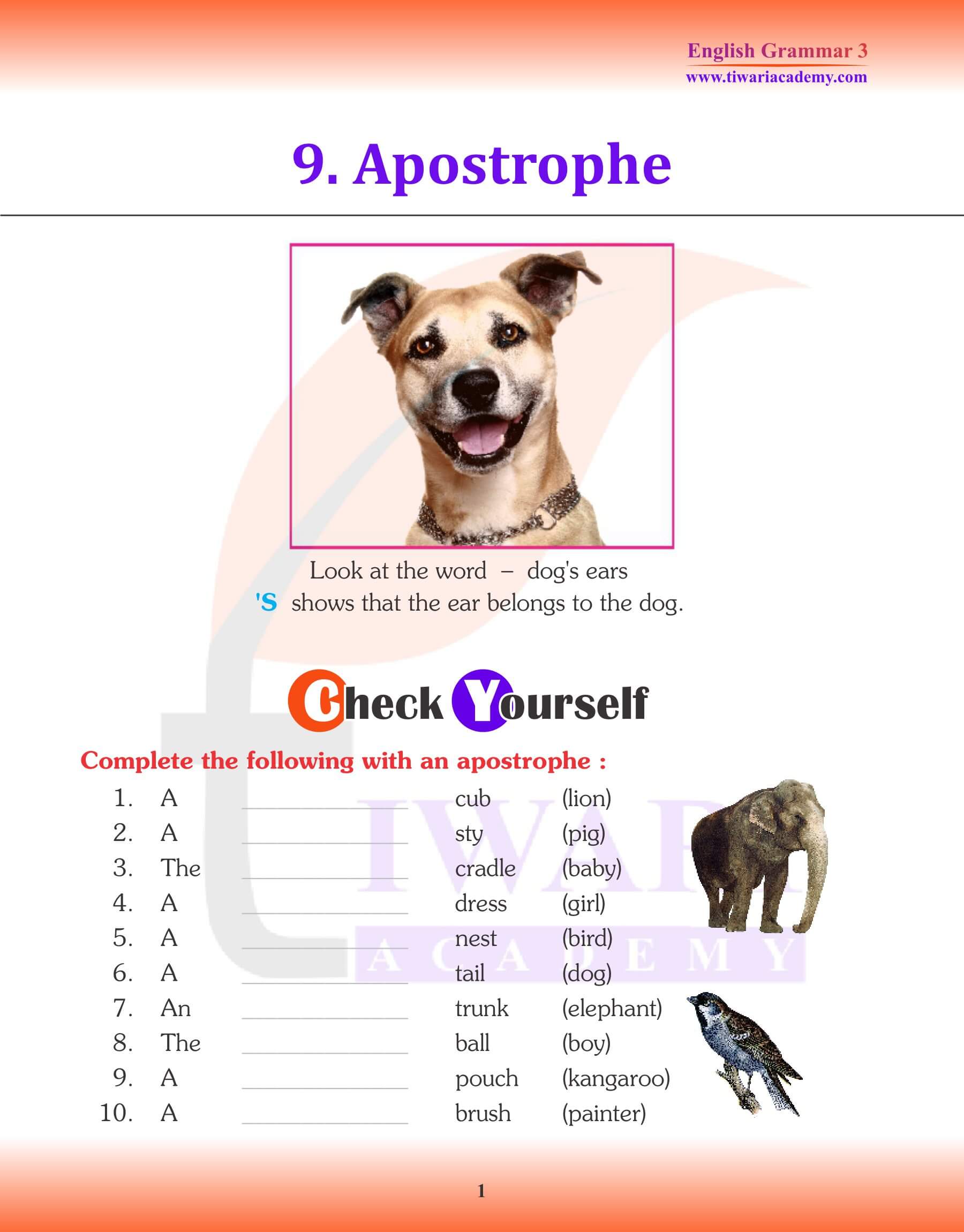 English Grammar for Grade 3 Chapter 9 Apostrophe