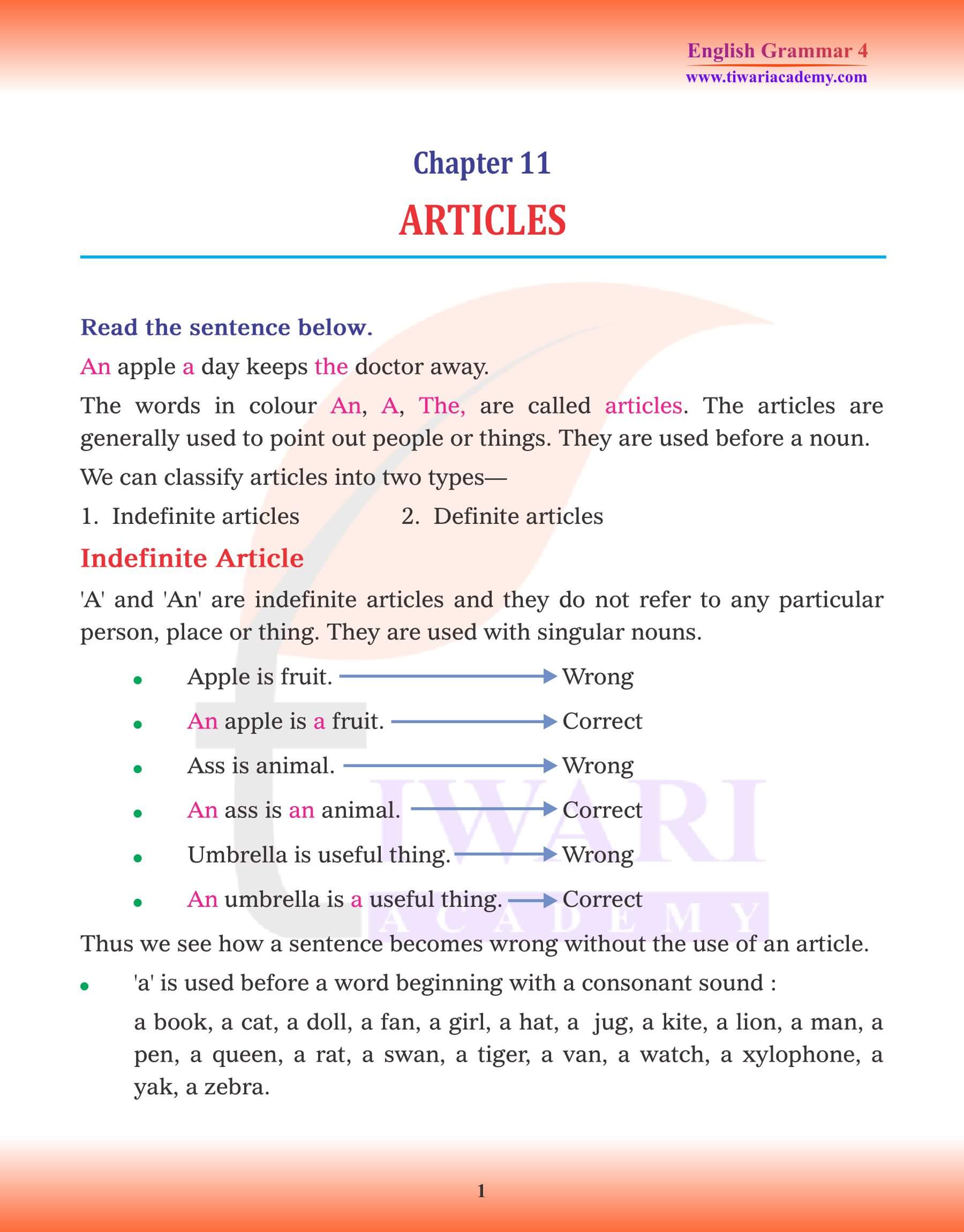 Class 4 English Grammar Chapter 11 Articles Examples