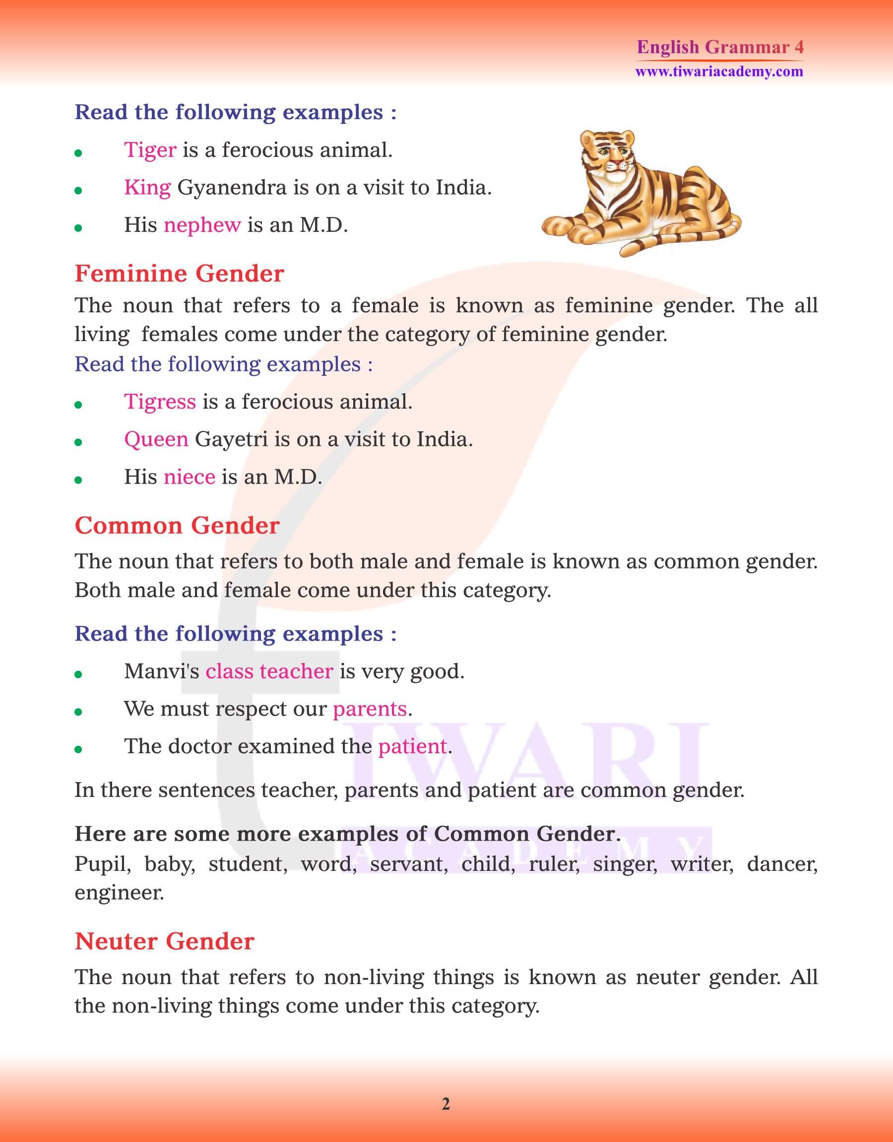 Class 4 Grammar Chapter 6 The Noun Gender