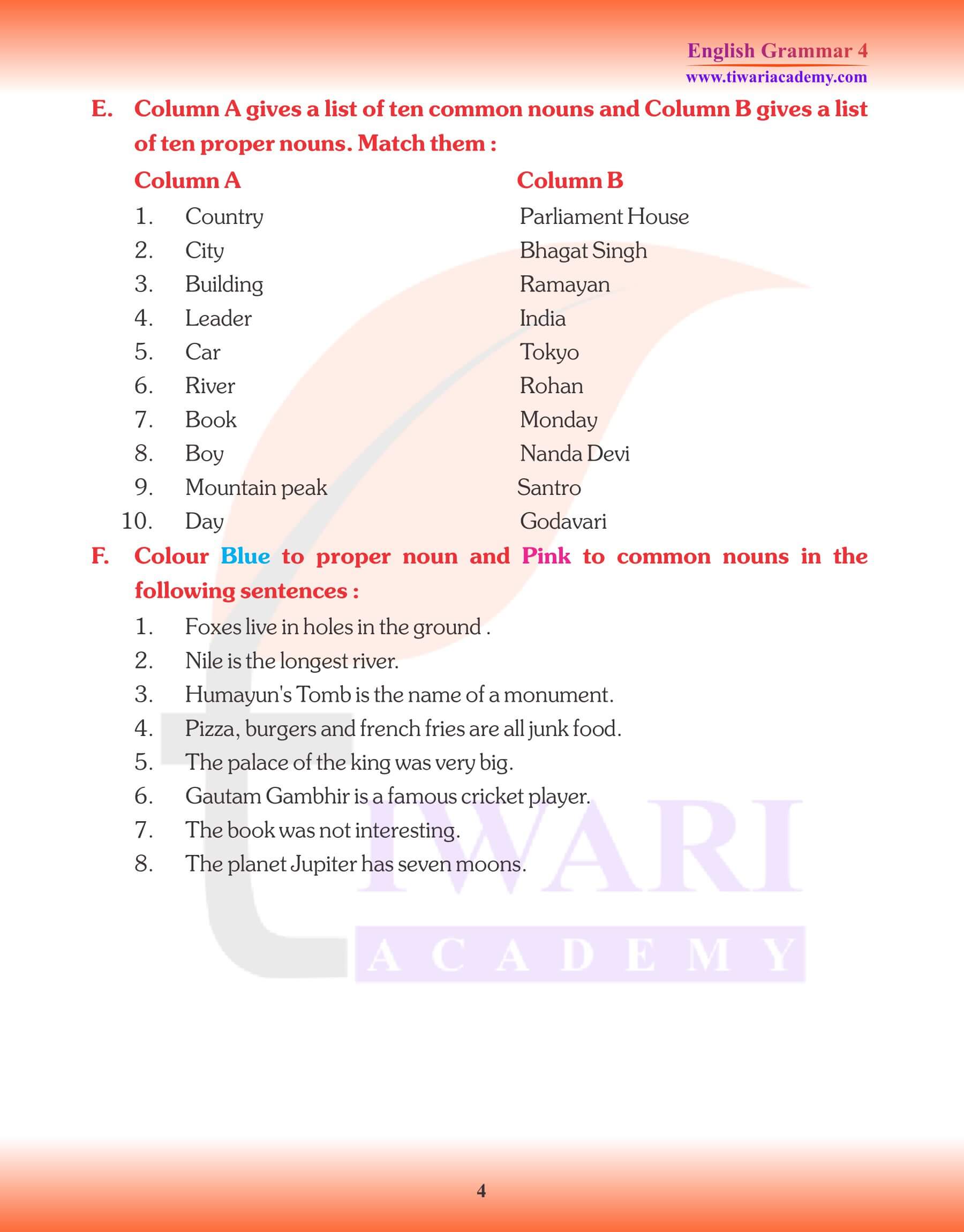 Class 4 English Grammar Kinds of Noun