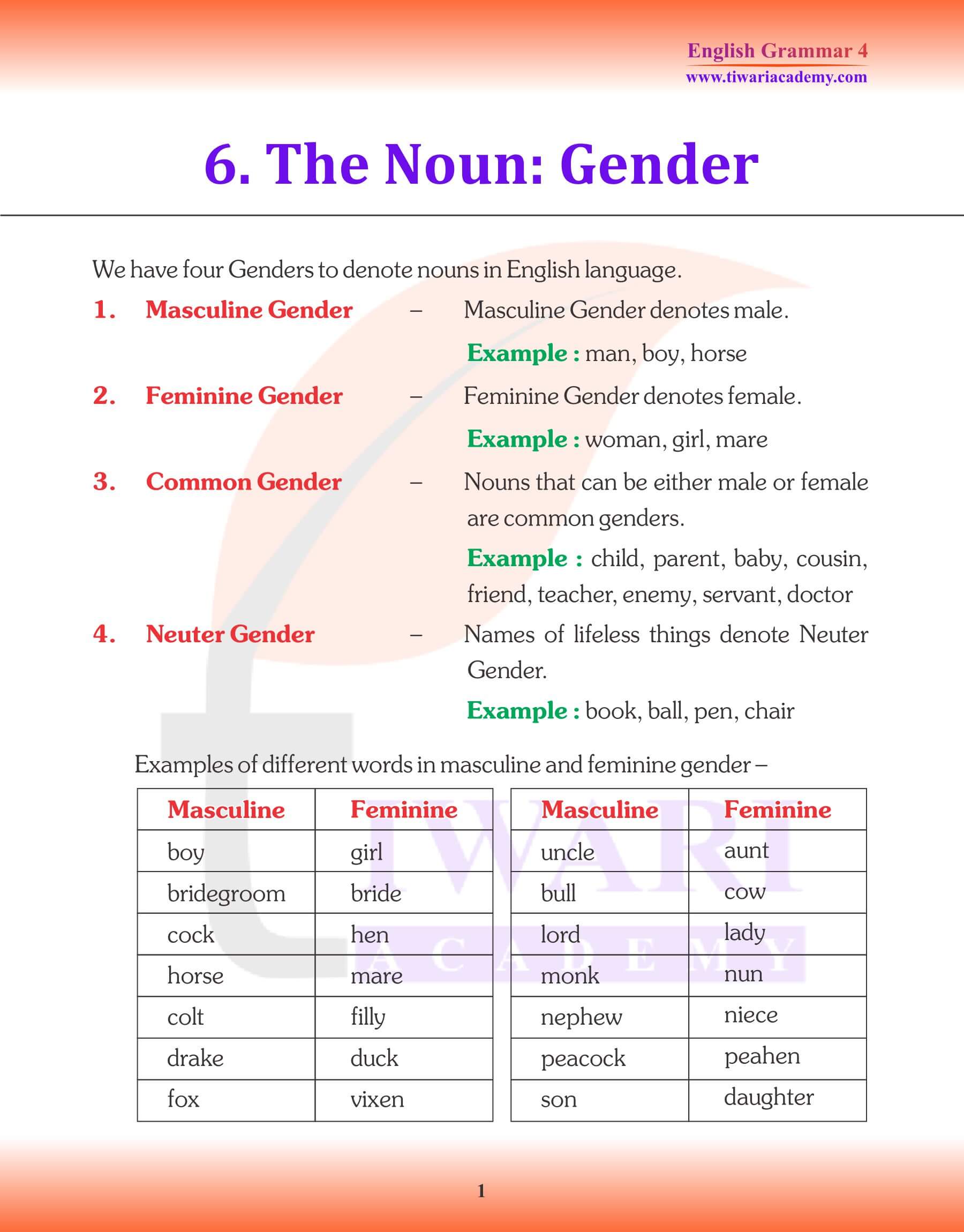 Revision of Class 4 English Grammar Chapter 6 The Noun Gender