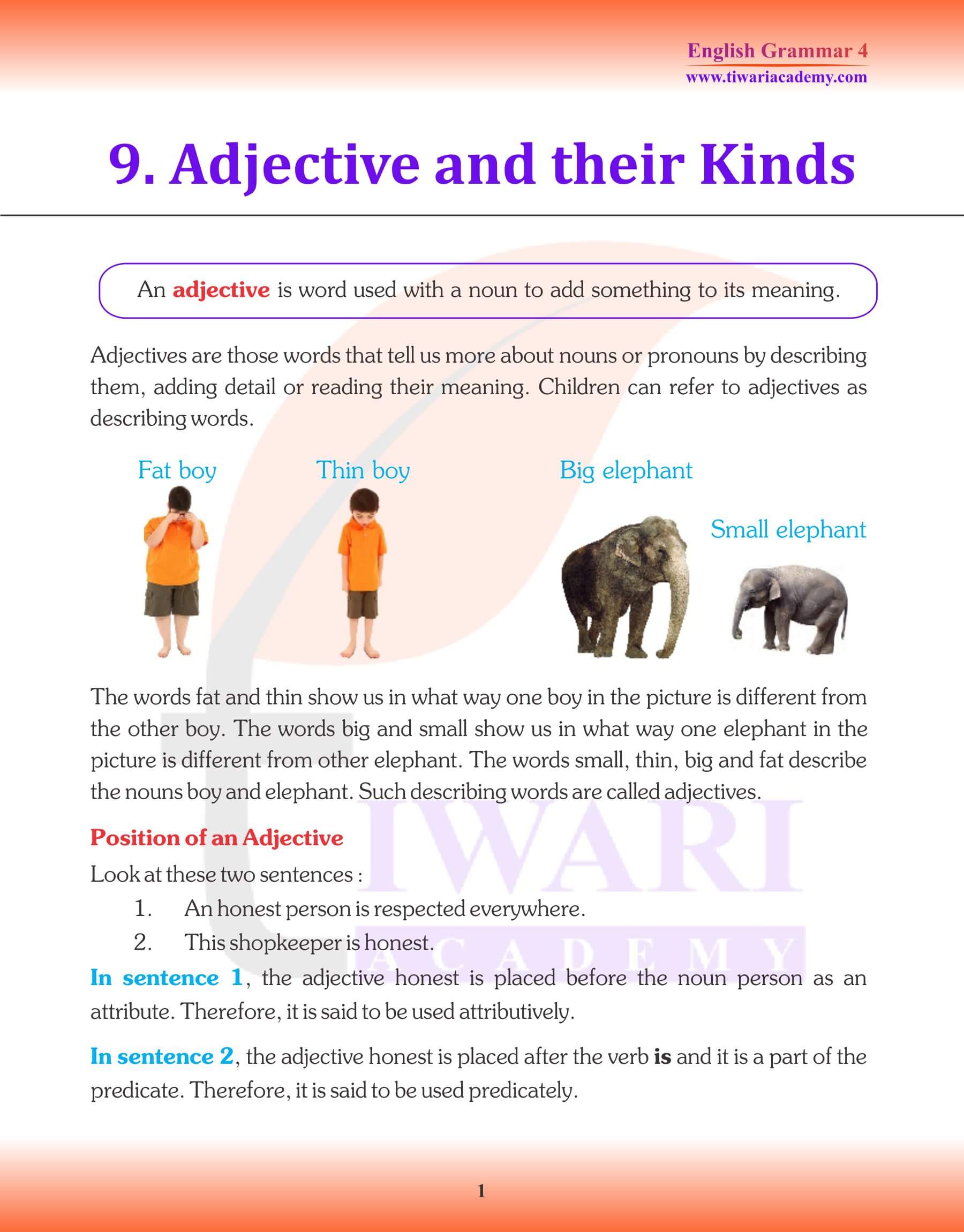 English Grammar Adjective and their Kinds