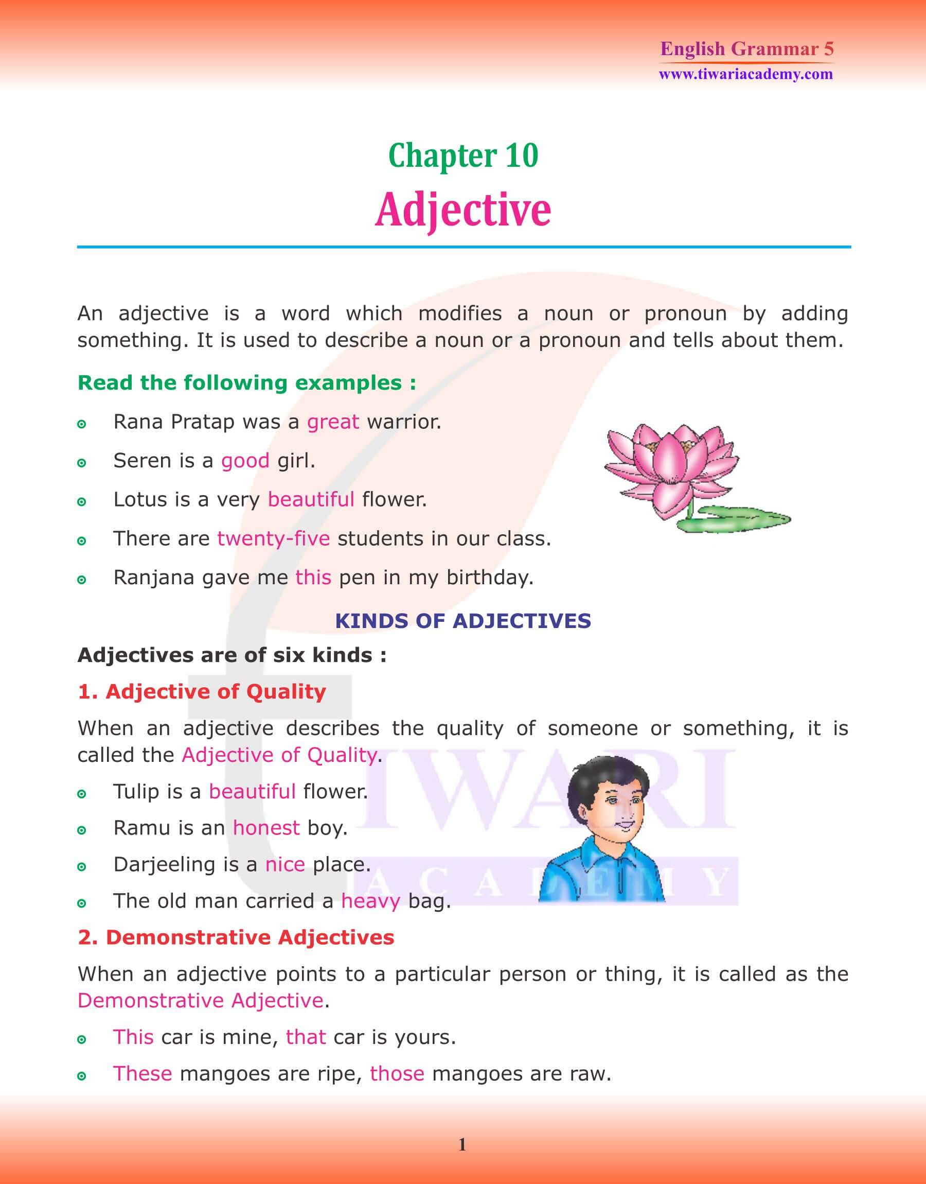 Class 5 Grammar Chapter 10 Adjective