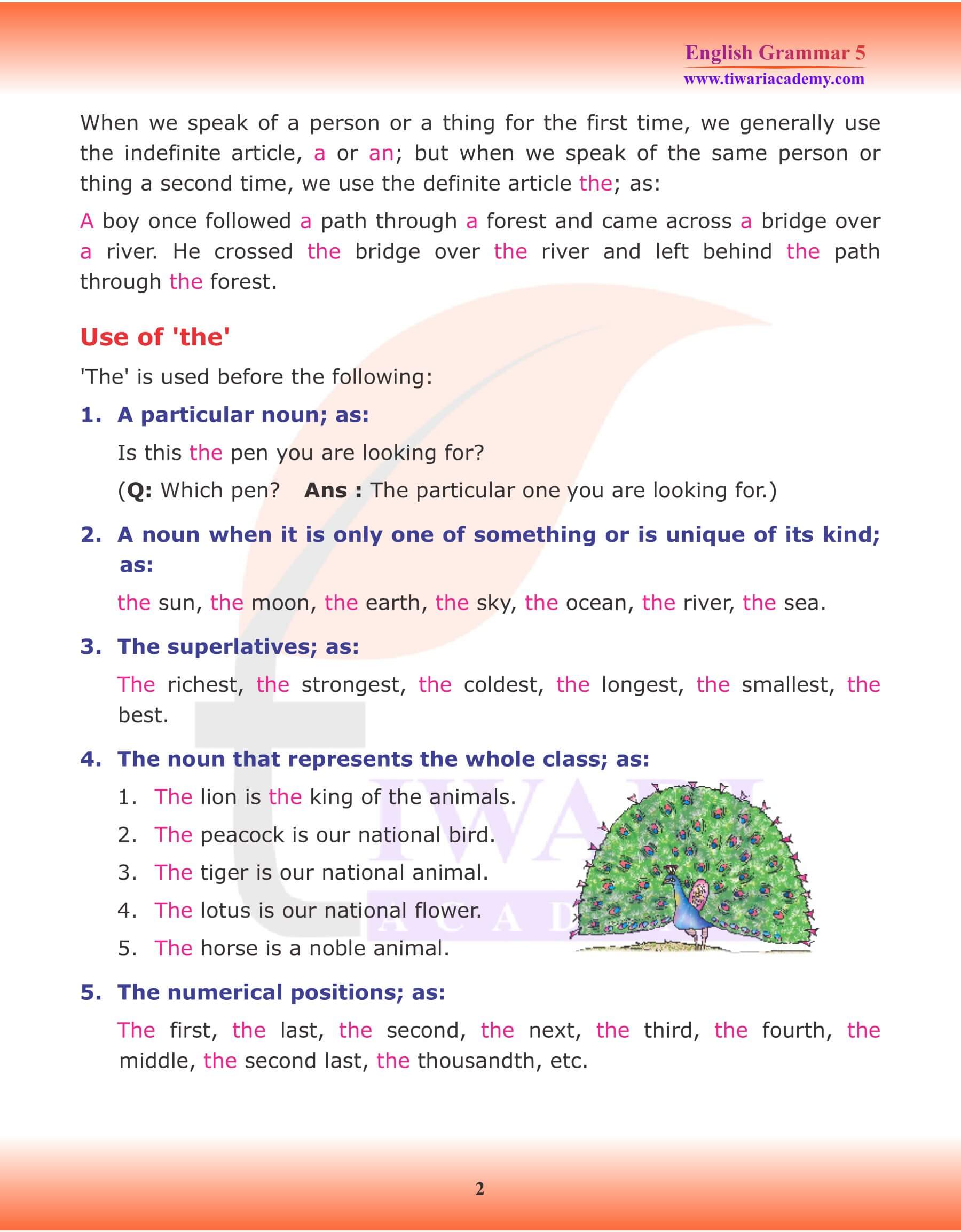 Class 5 English Grammar Articles