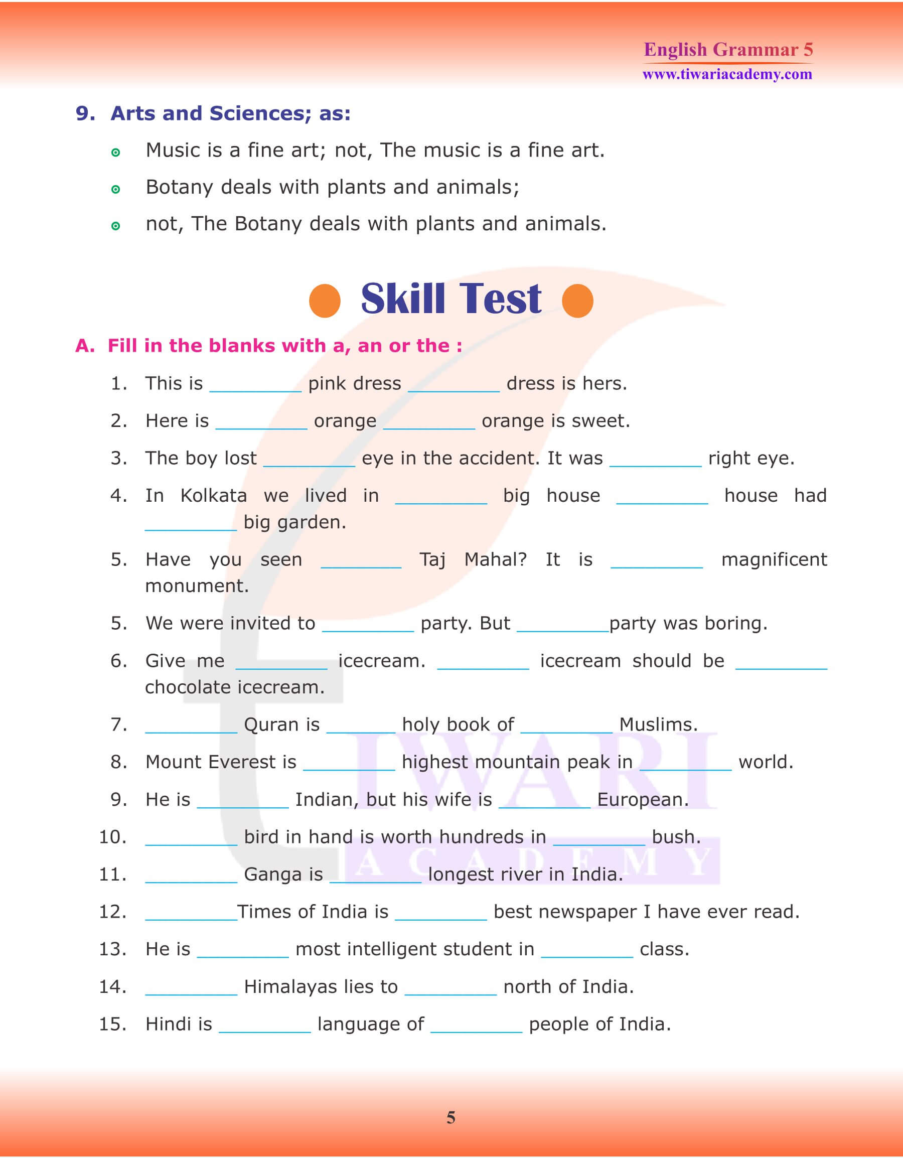 Class 5 English Grammar Articles Revision