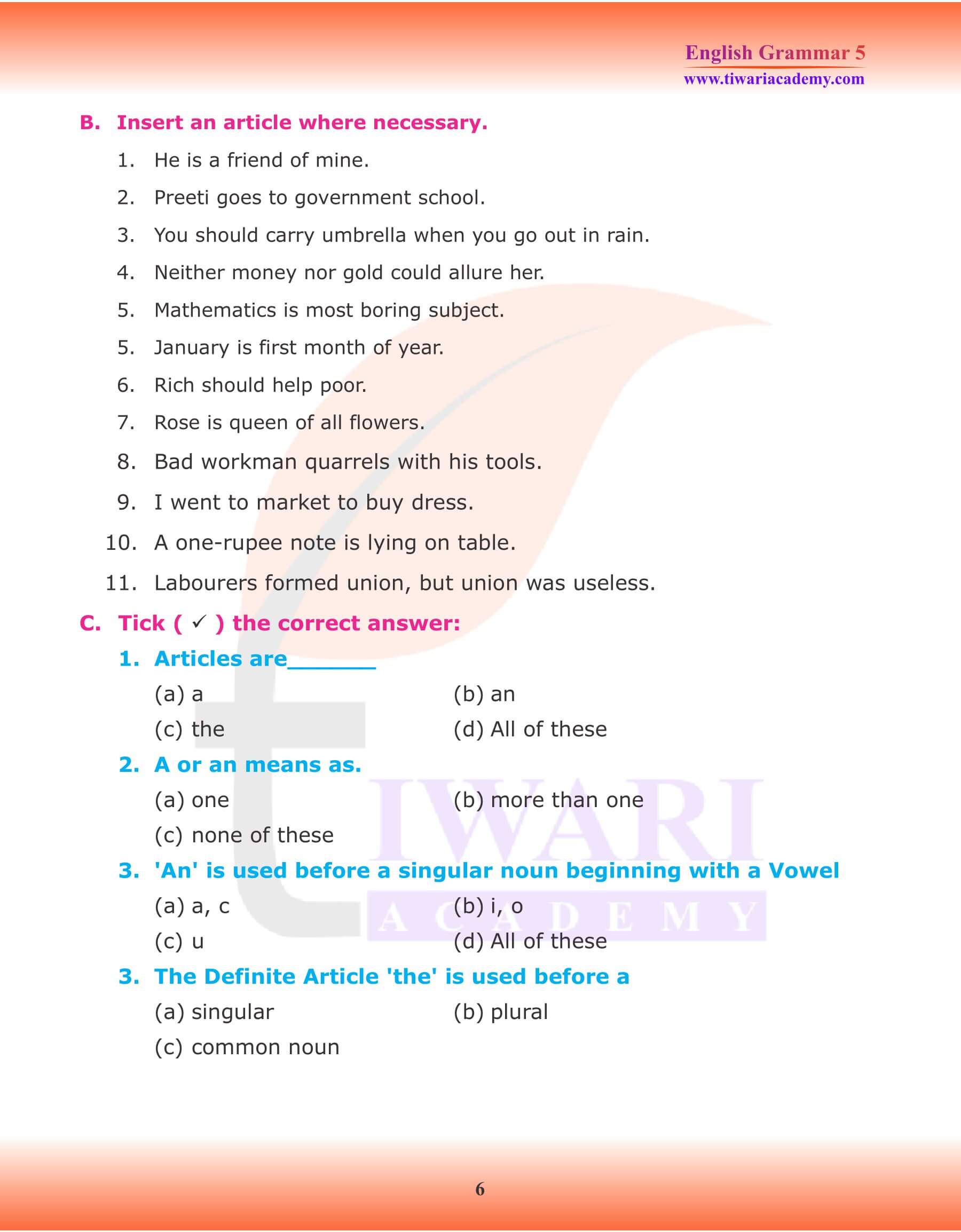 Class 5 English Grammar Articles Exercises