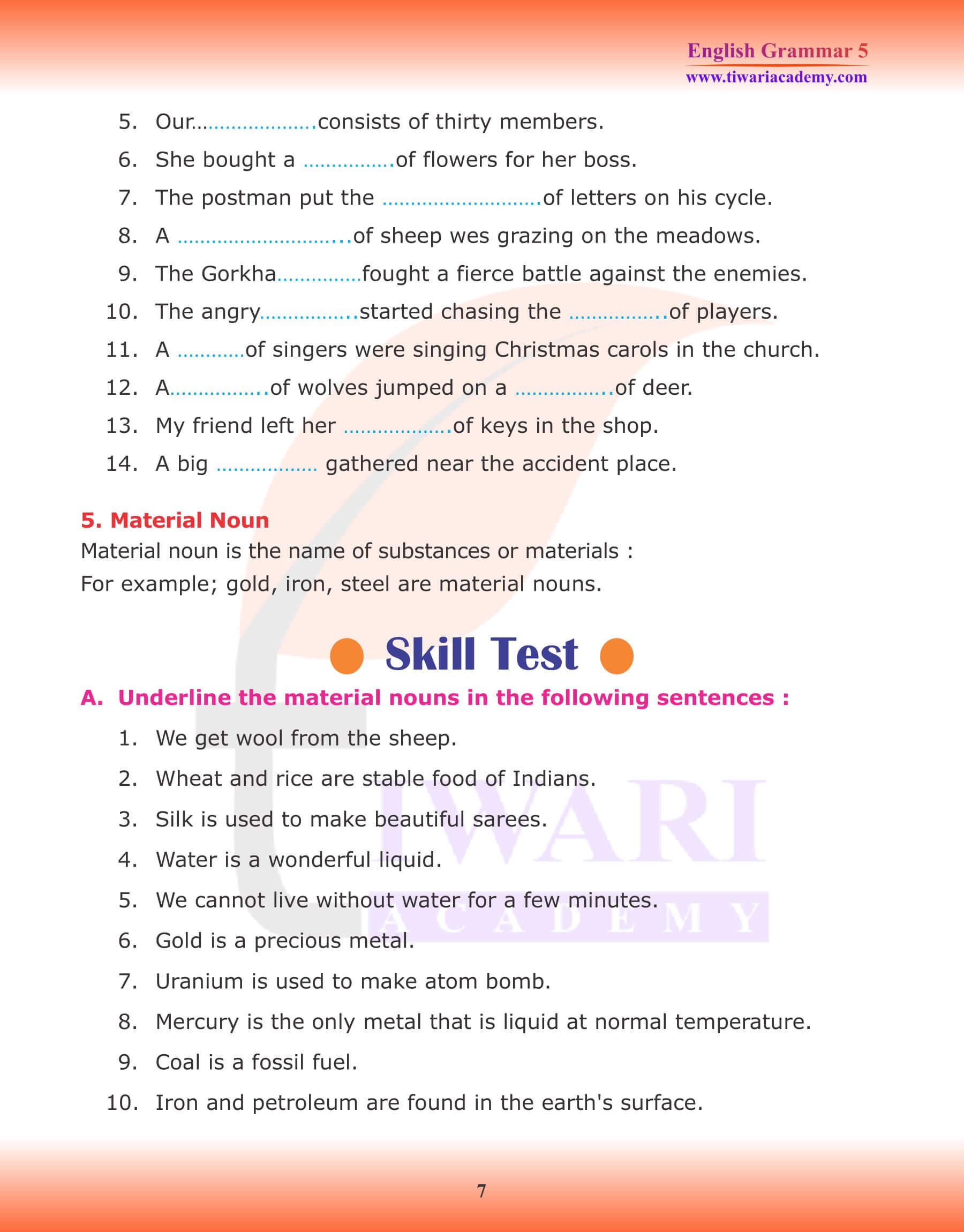 Class 5 English Grammar Noun worksheet