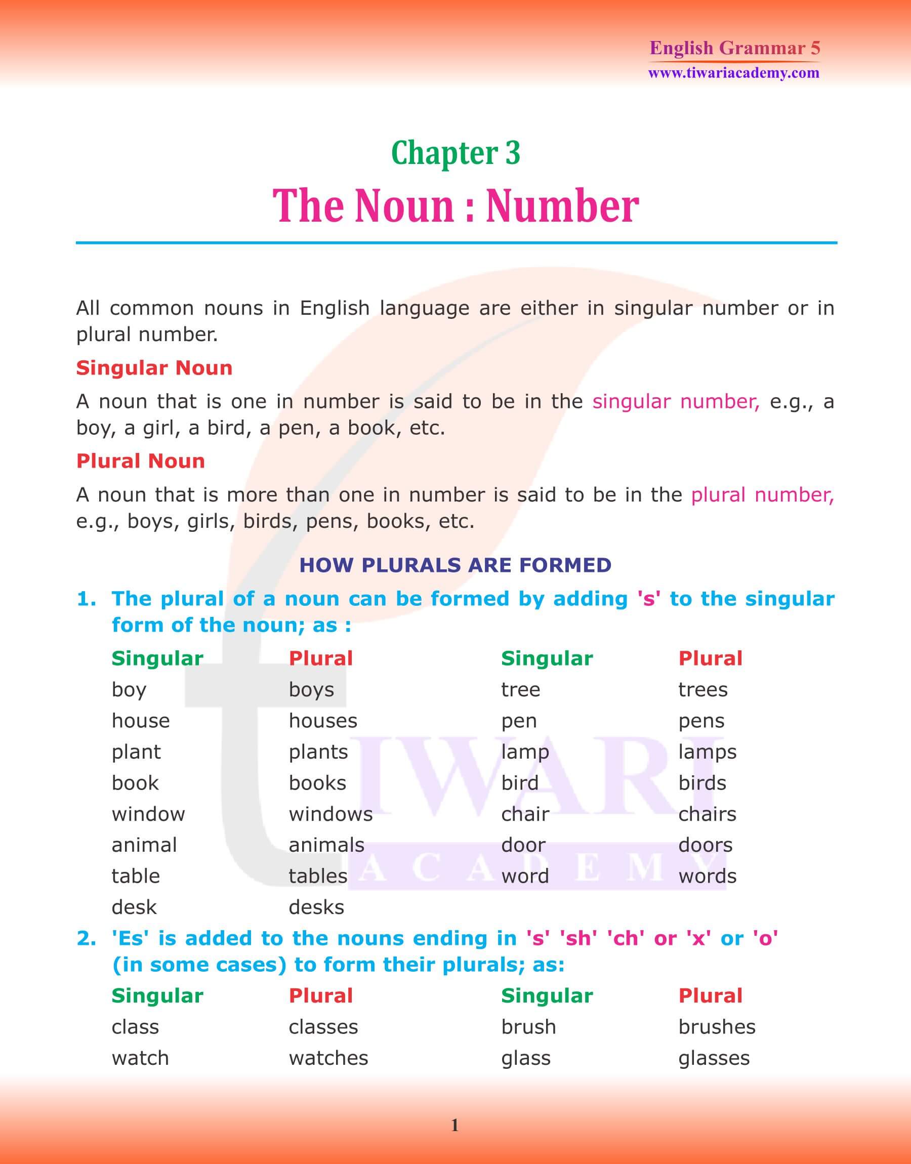 Class 5 English Grammar Chapter 3 Noun Number