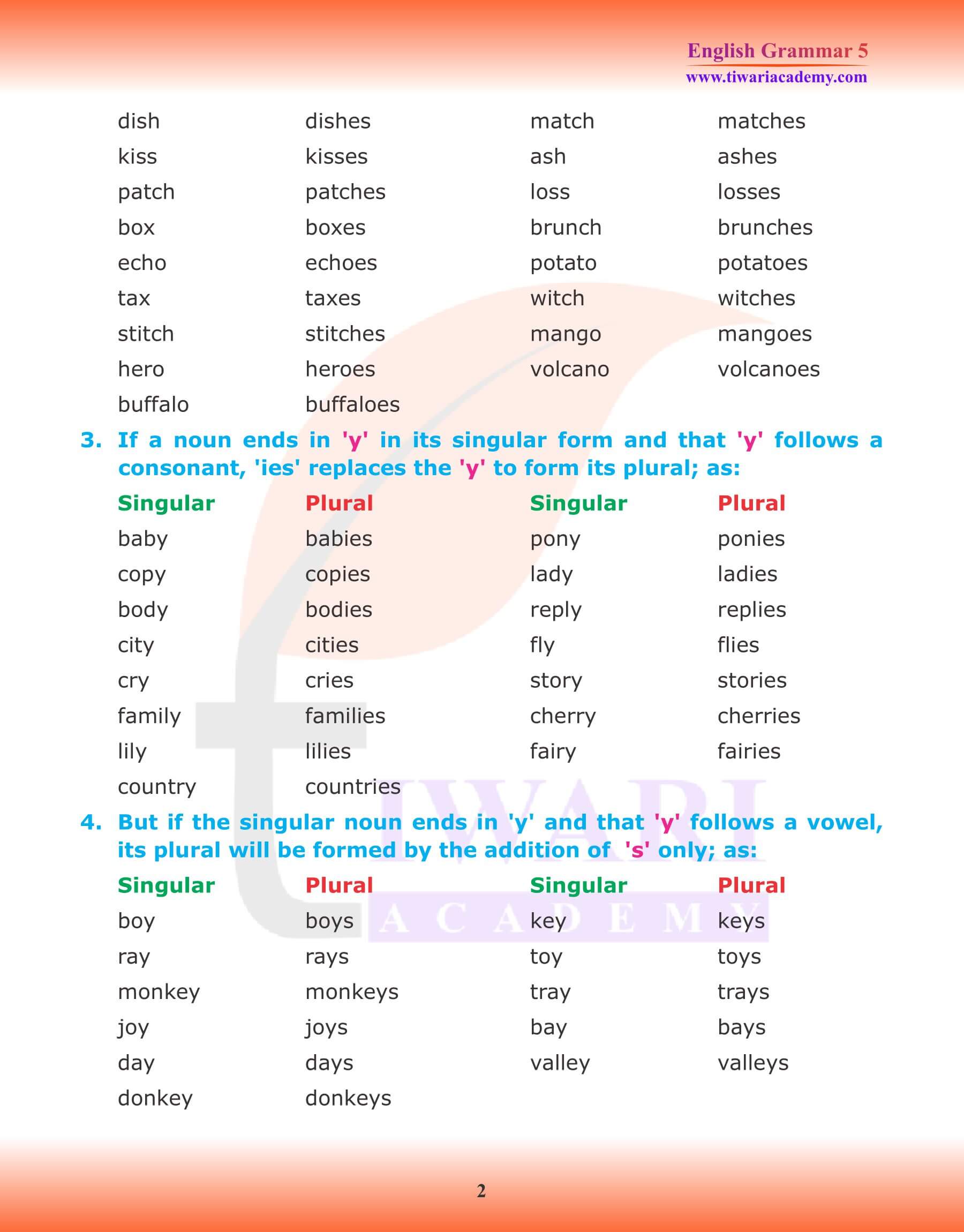 Class 5 Grammar Chapter 3 Noun Number