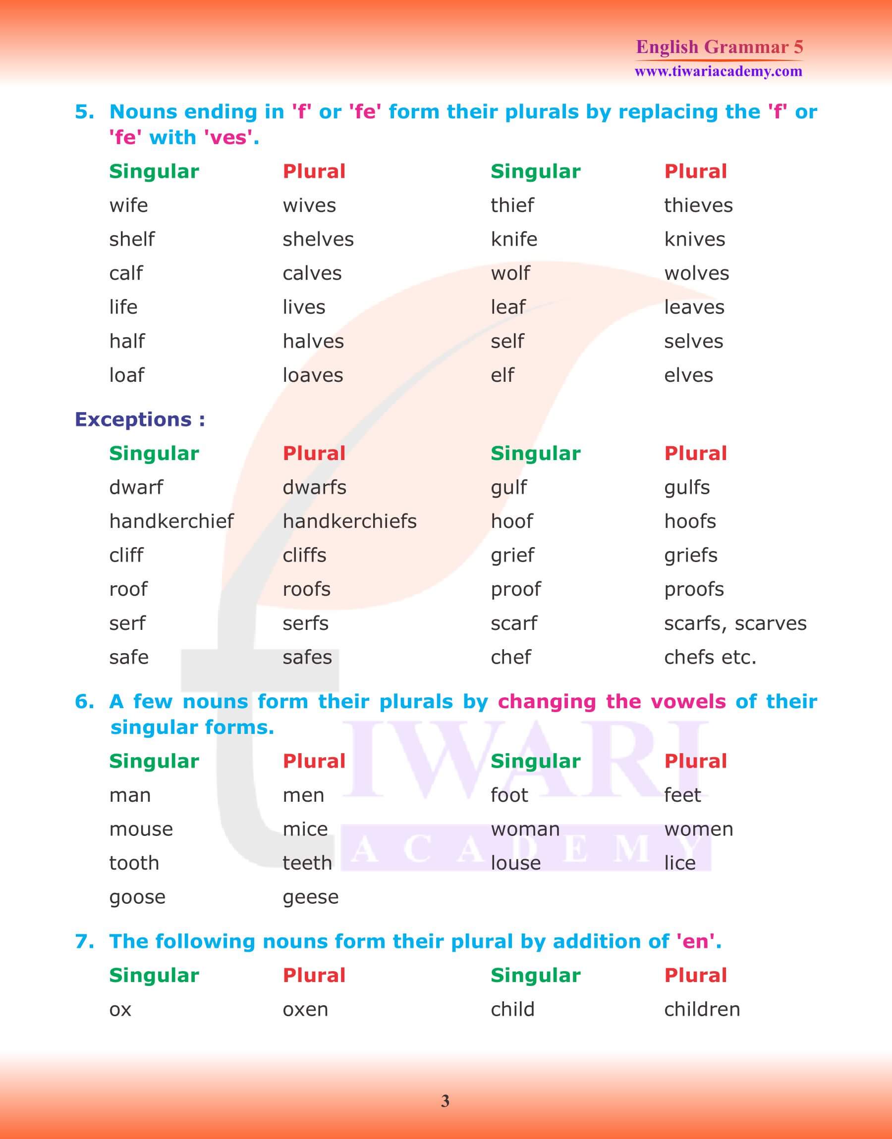 Class 5 English Grammar Noun Number