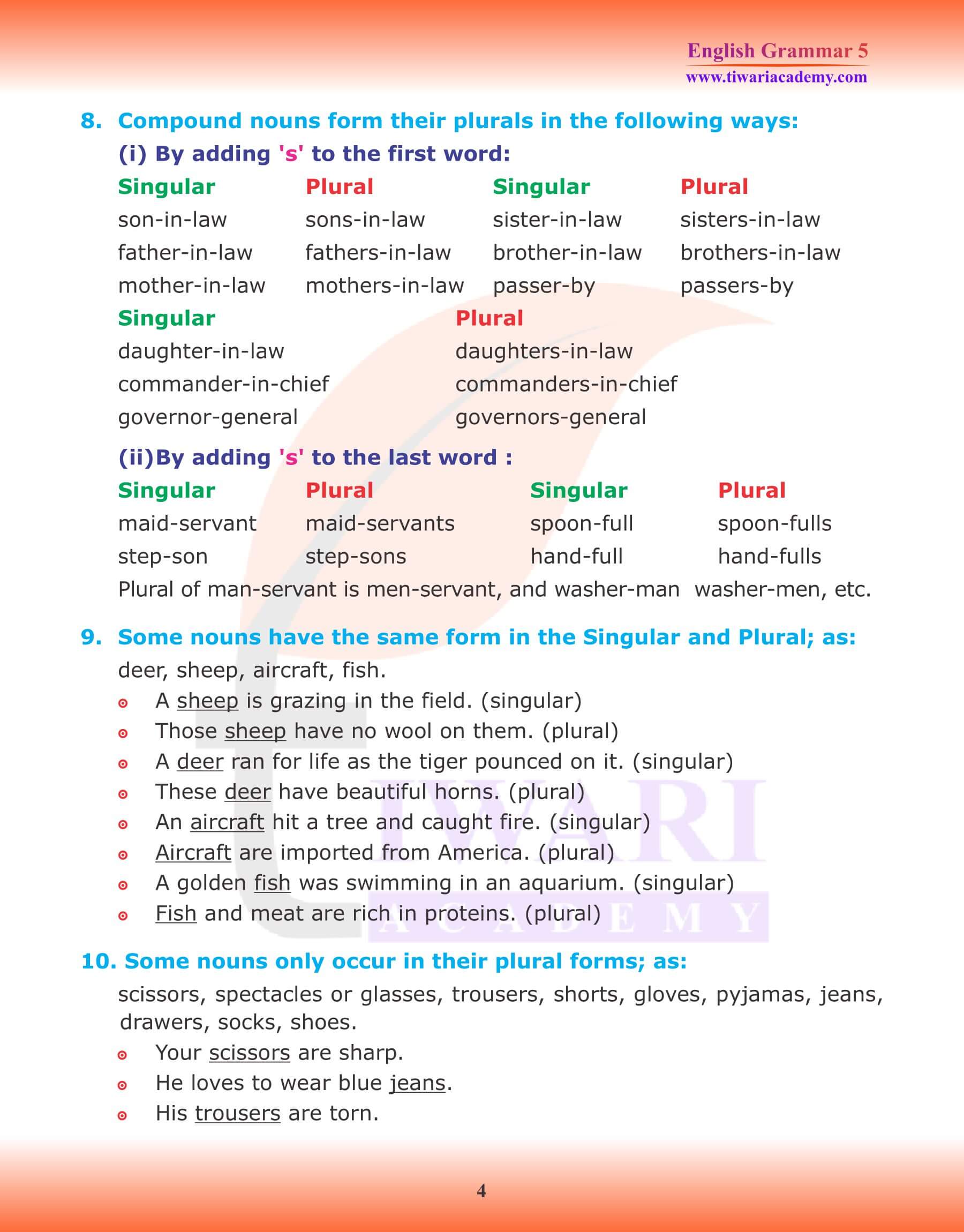 Class 5 English Grammar Topic Noun Number