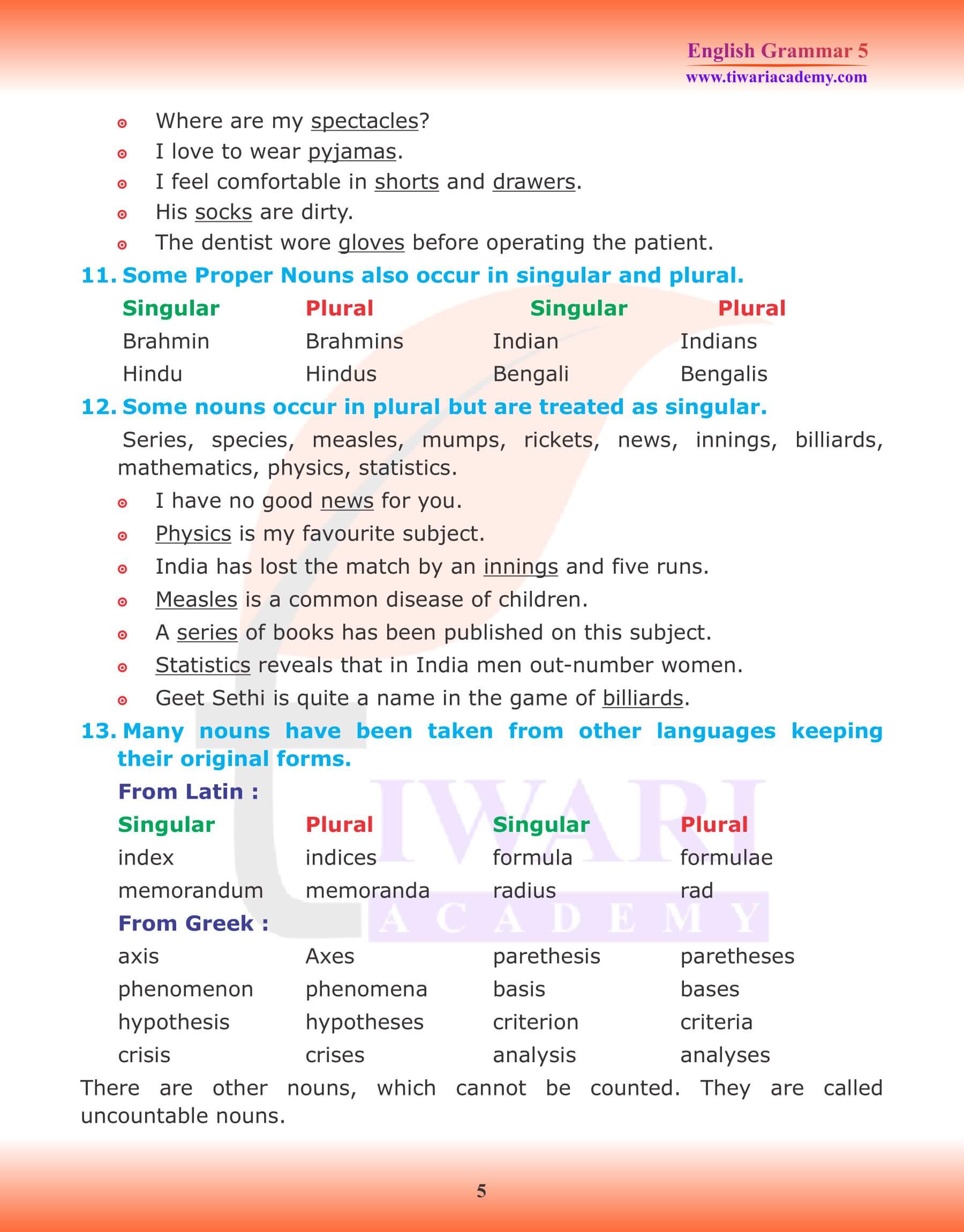 Class 5 English Grammar Noun Number Examples