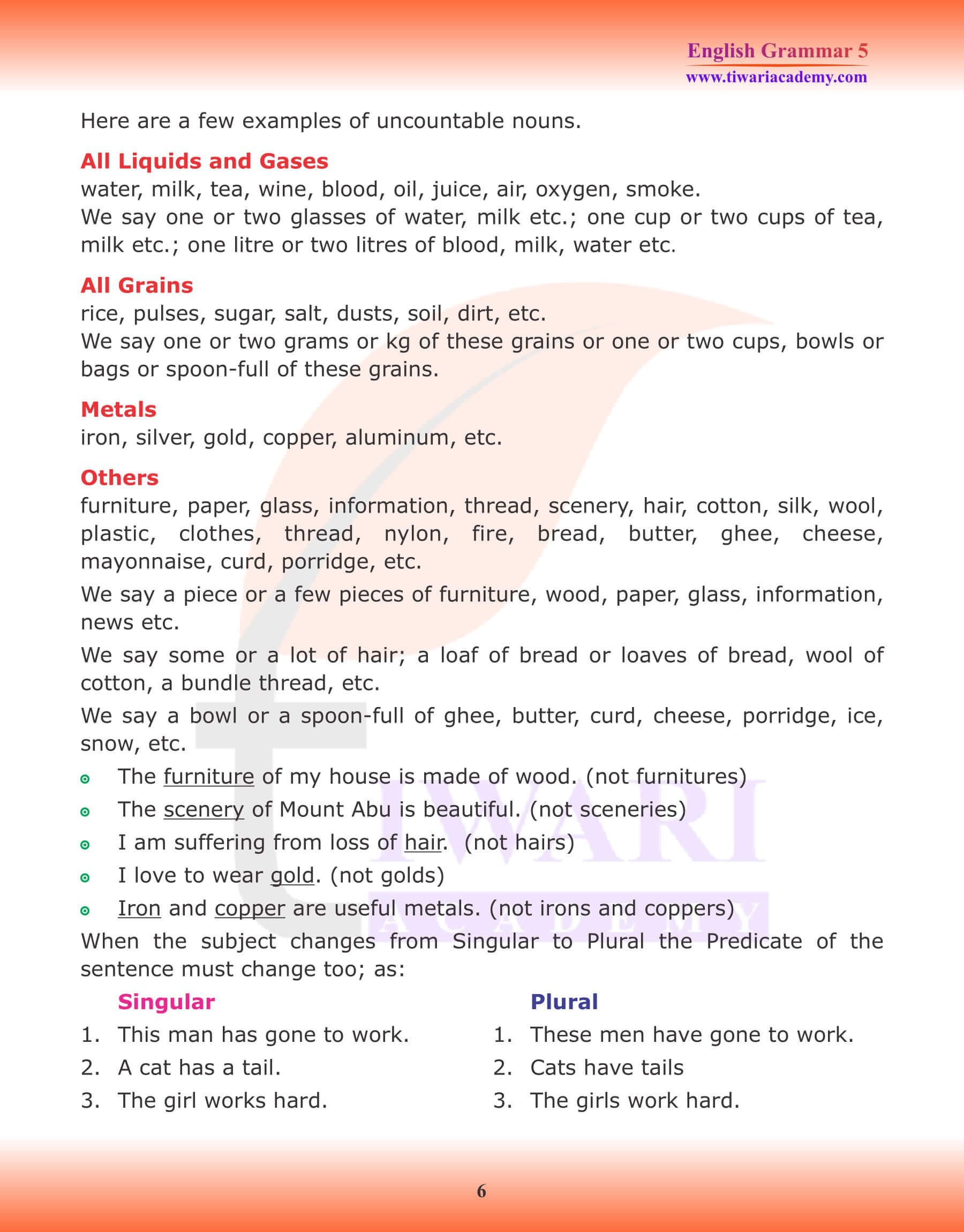 Class 5 English Grammar Noun Number Exercises