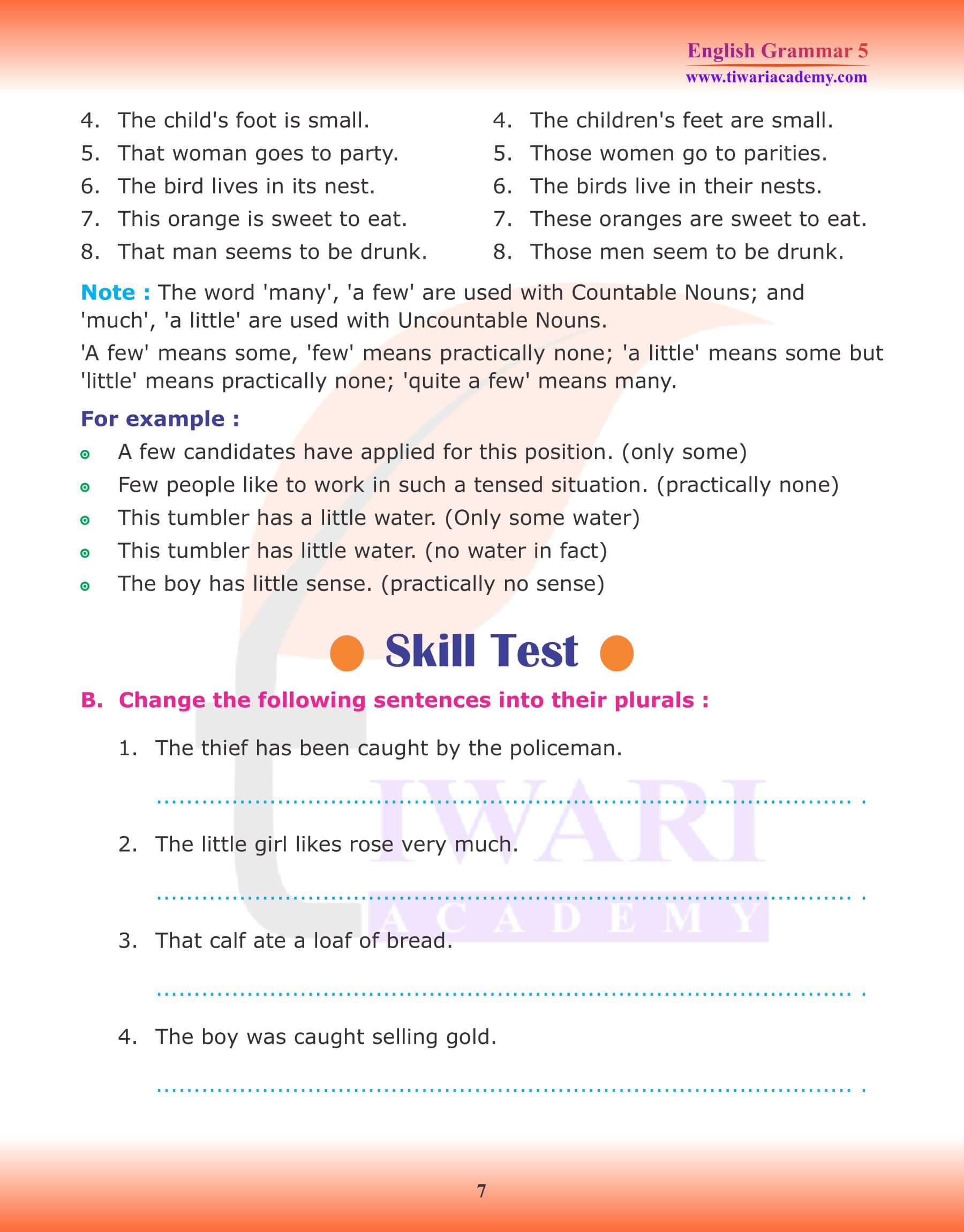 Class 5 English Grammar Noun Number Worksheets