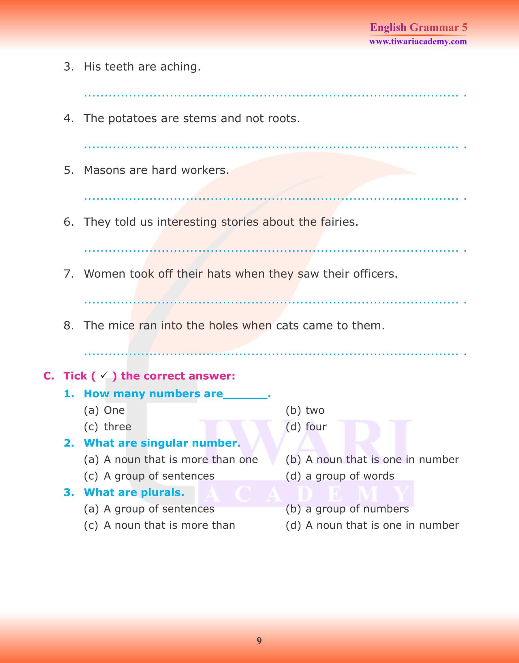 Class 5 English Grammar Noun Number Exercises