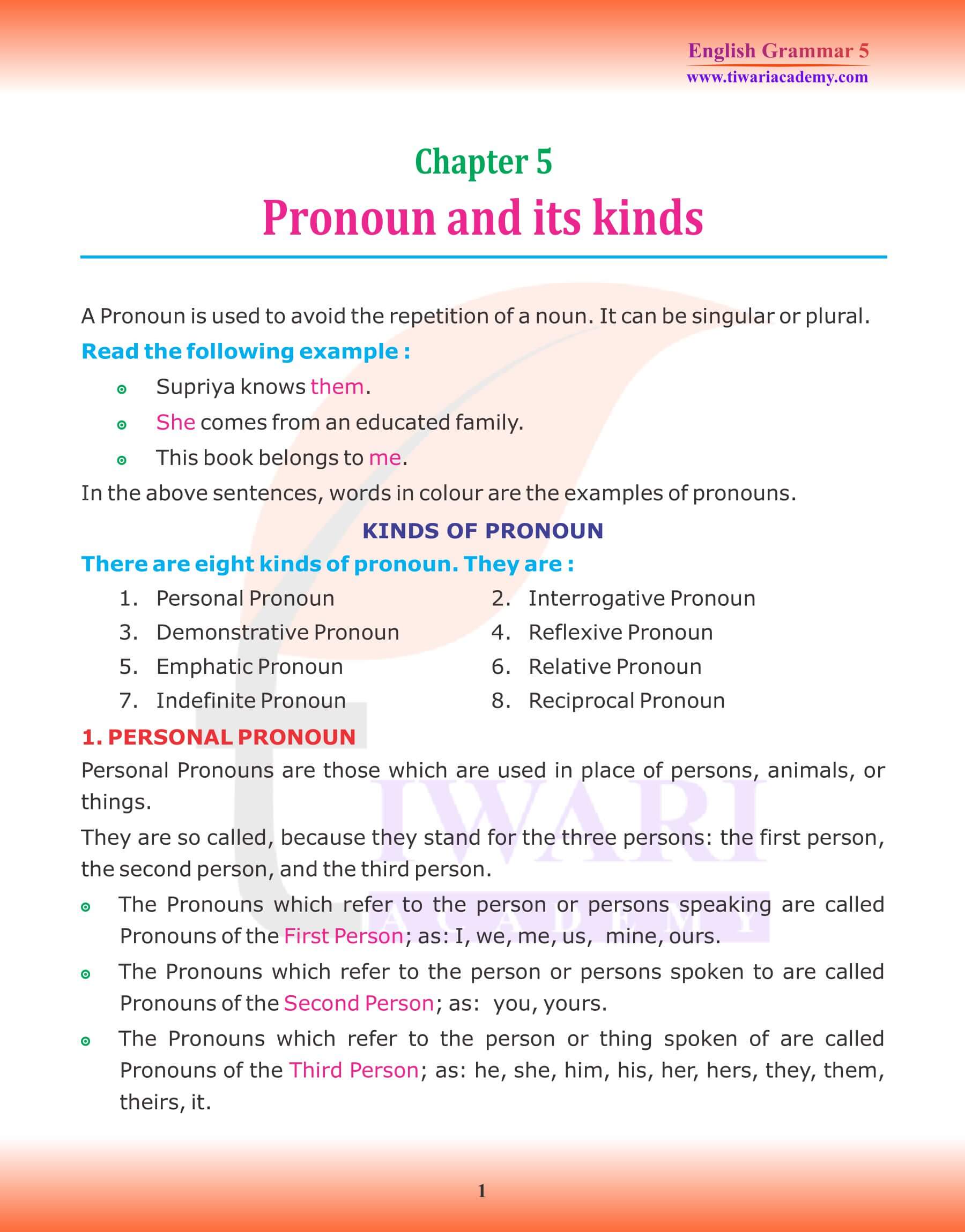 Class 5 English Grammar Chapter 5 Pronoun