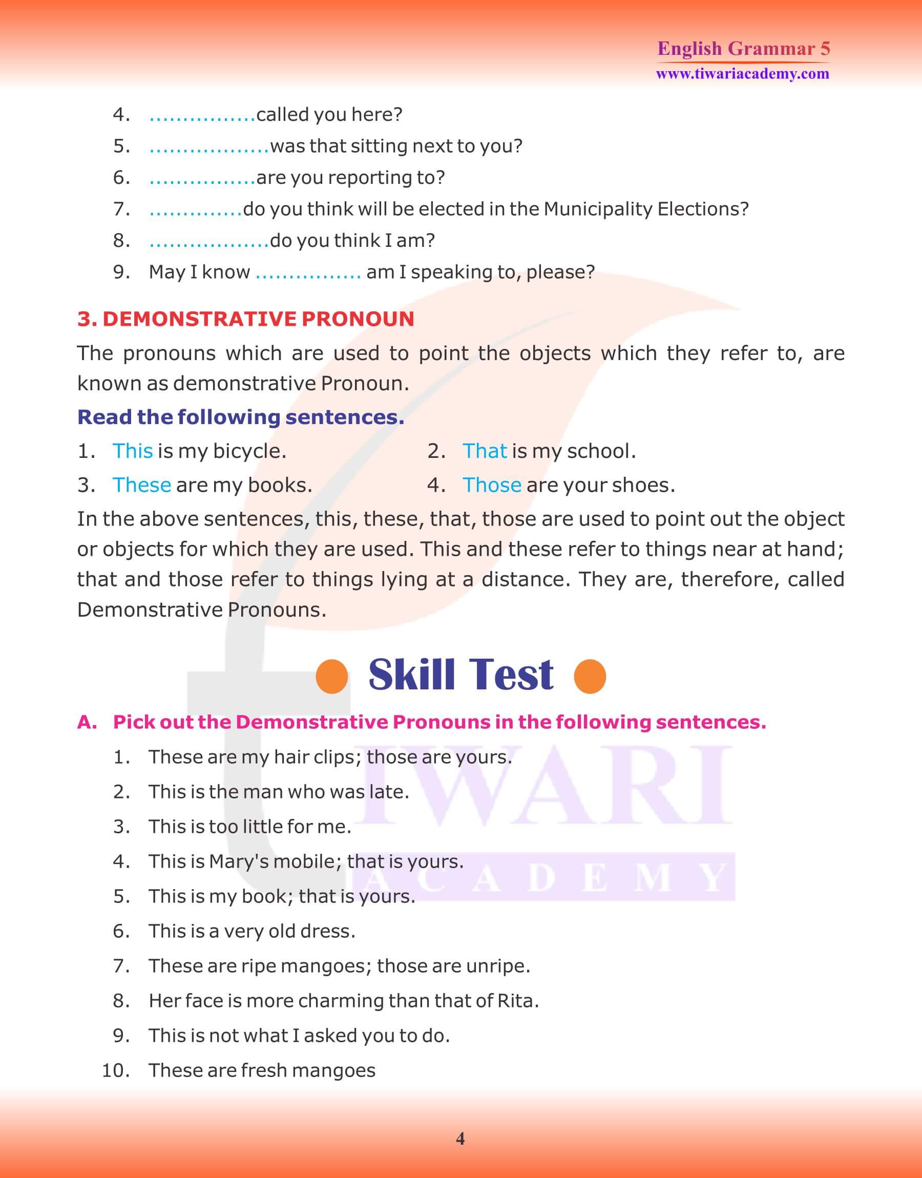 Class 5 English Grammar Pronoun Exercises