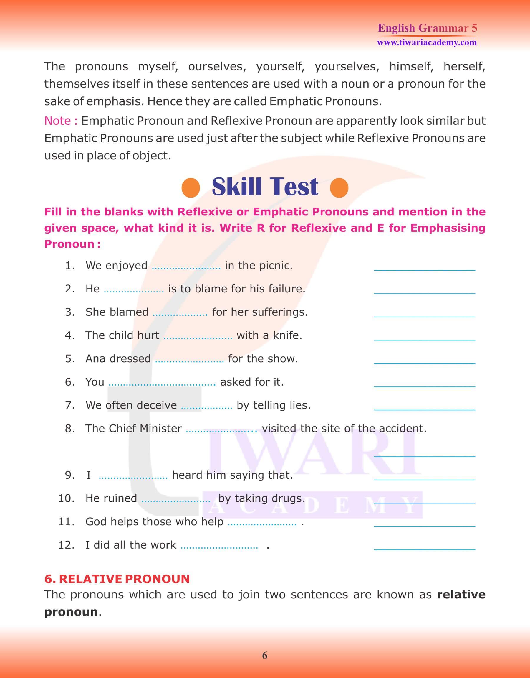 Class 5 English Grammar Pronoun Revision