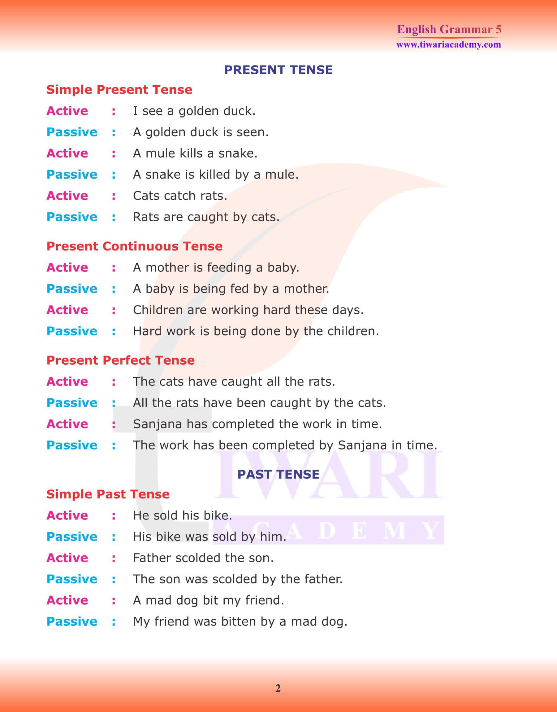 Class 5 Grammar Chapter 8 Active and Passive Voice