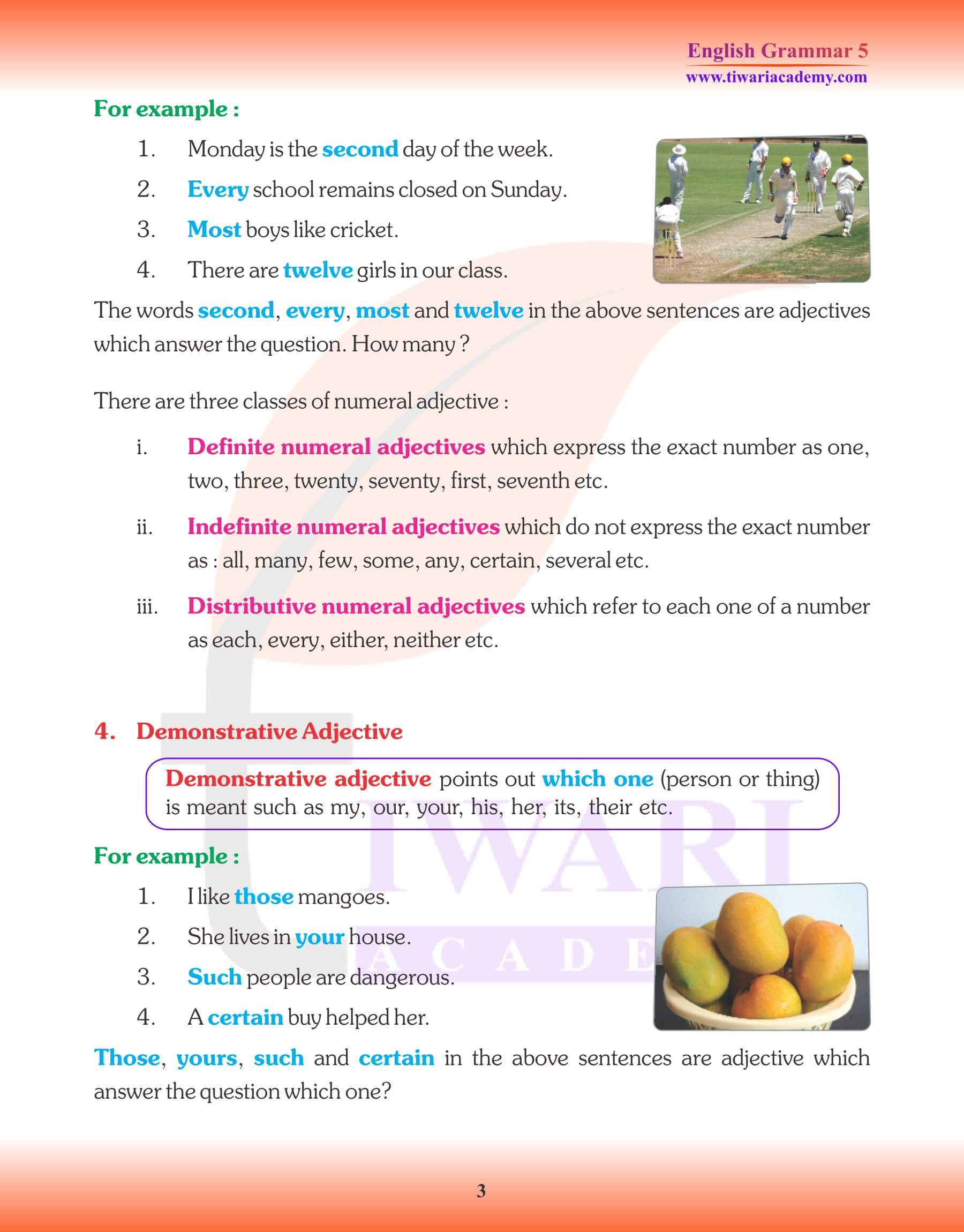 Class 5 English Grammar Adjective Exercises