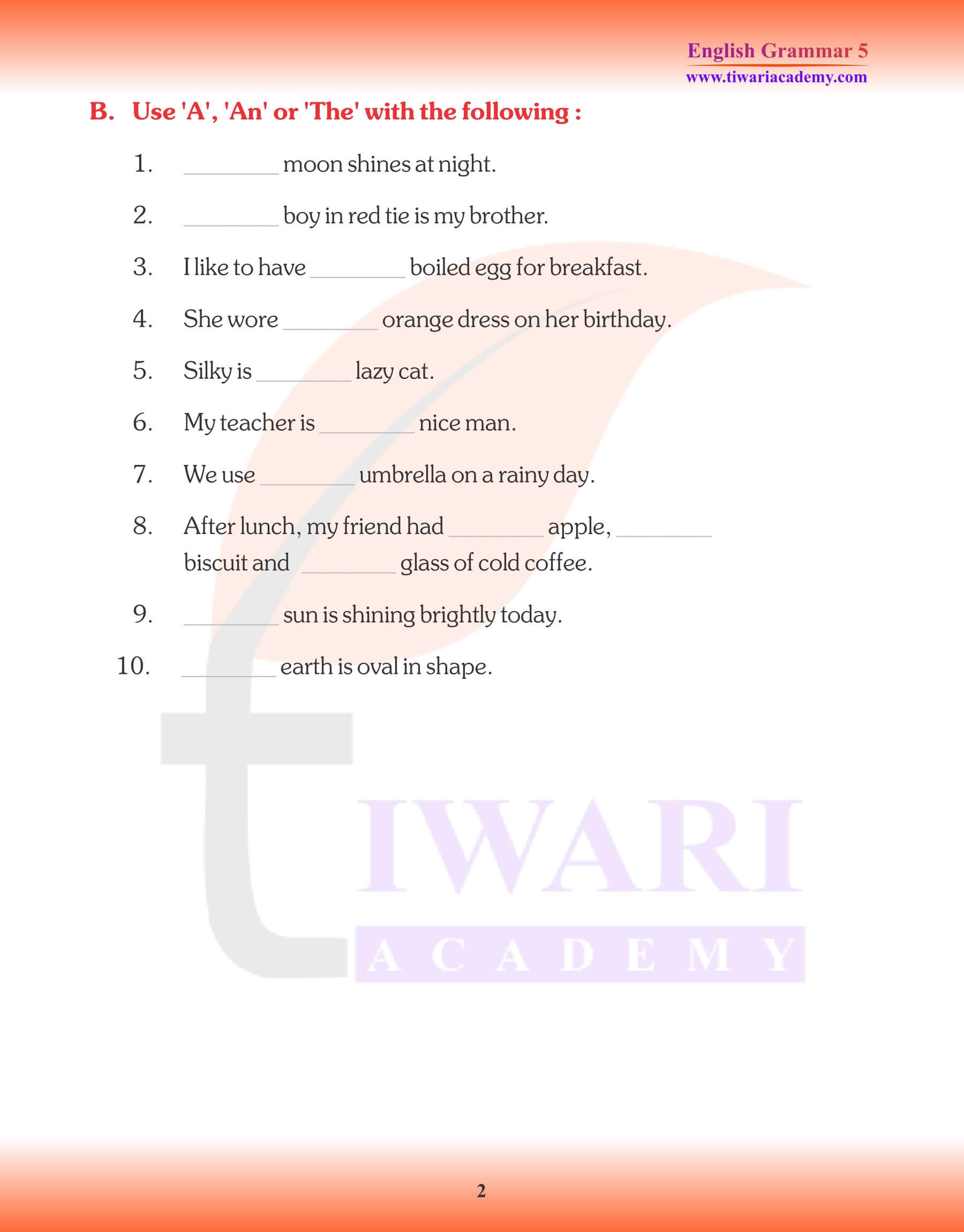 Class 5 English Grammar Articles Worksheets