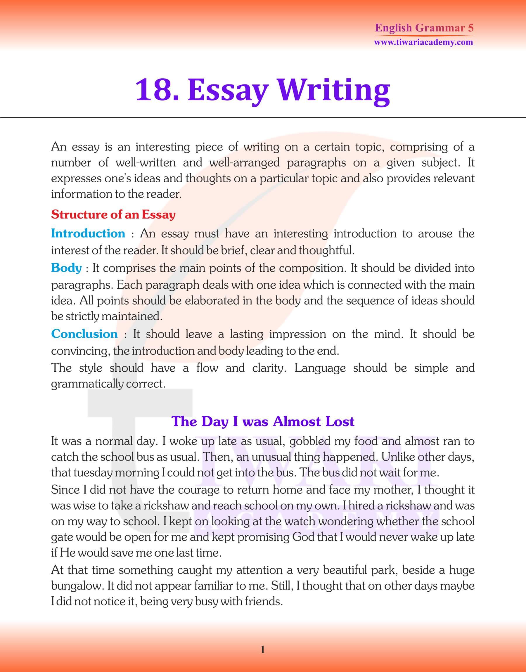 5th English Grammar Essay Writing