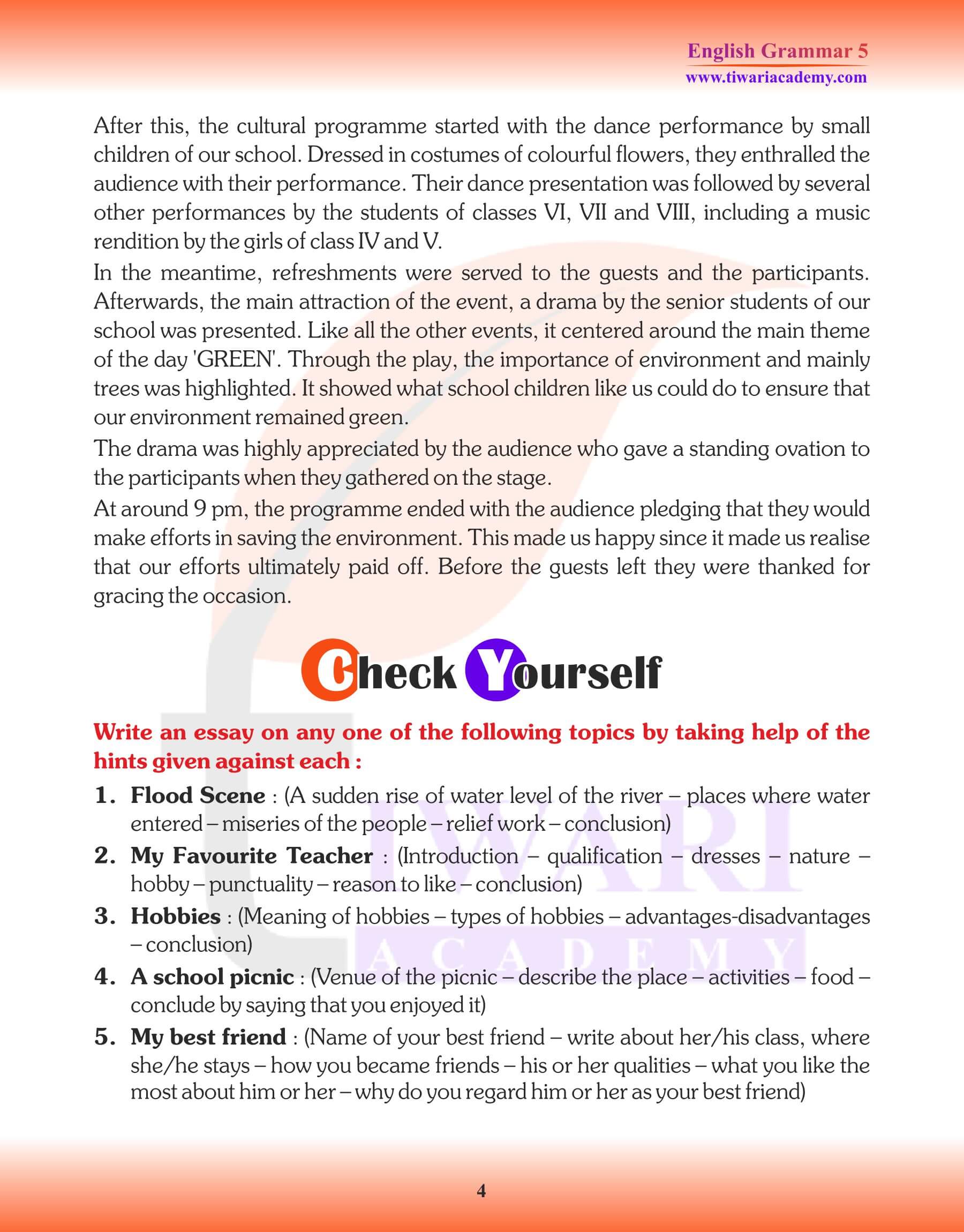 Class 5 English Grammar Essay Writing Worksheets