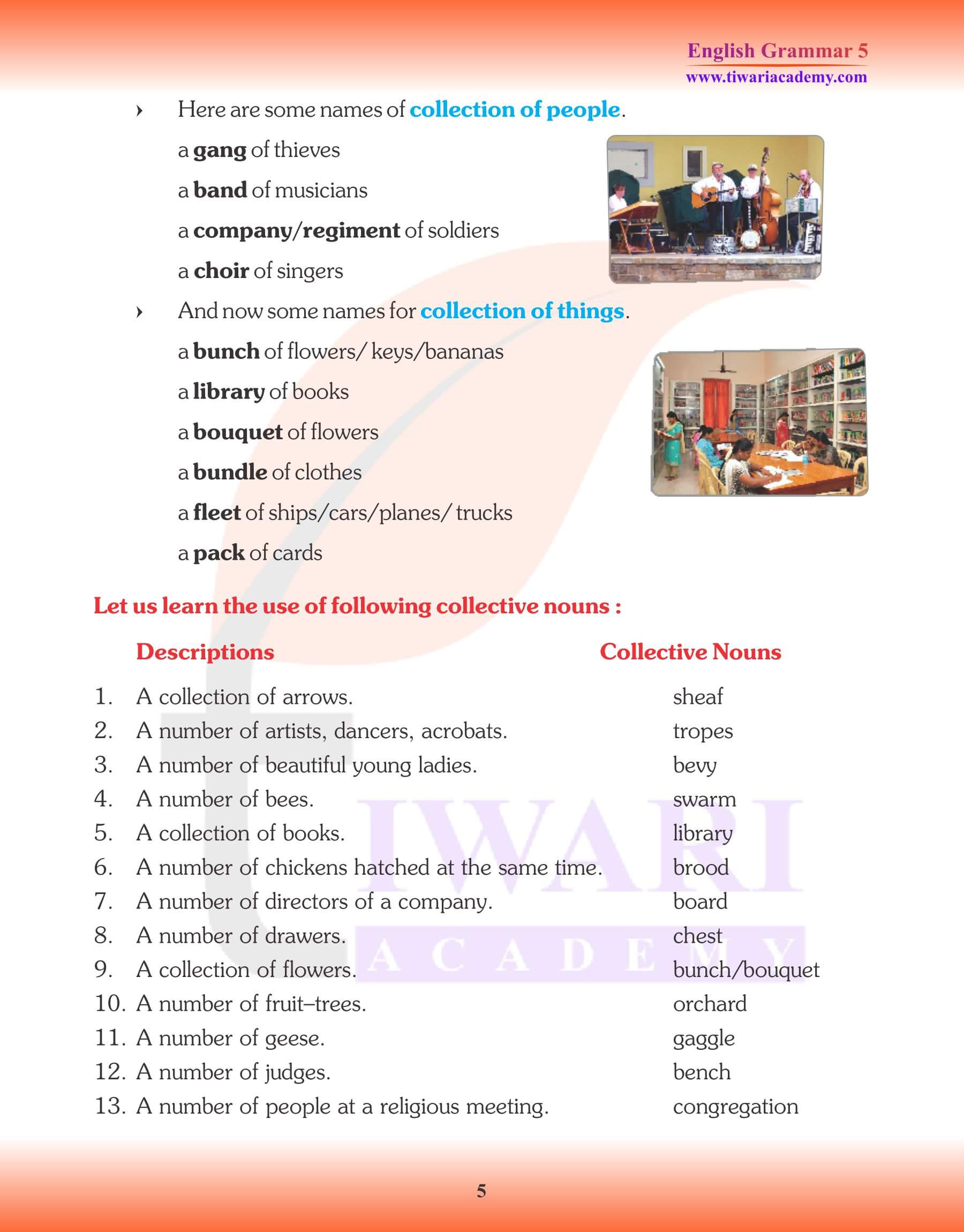 Class 5 English Grammar Noun Types