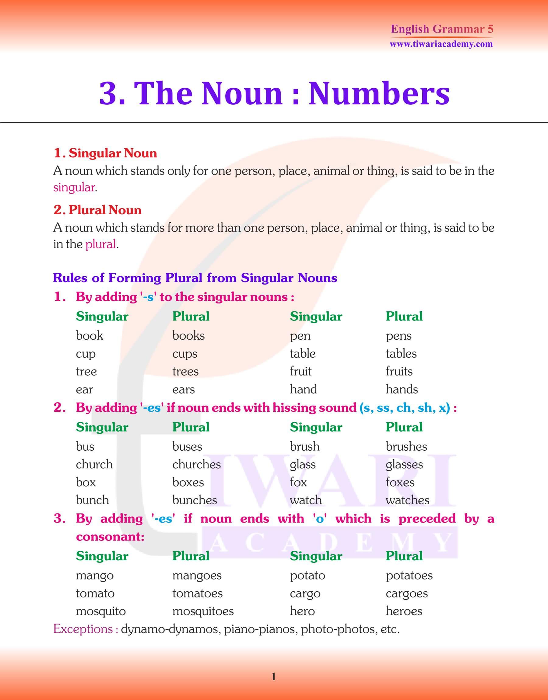 Class 5 English Grammar Noun Number Revision Book
