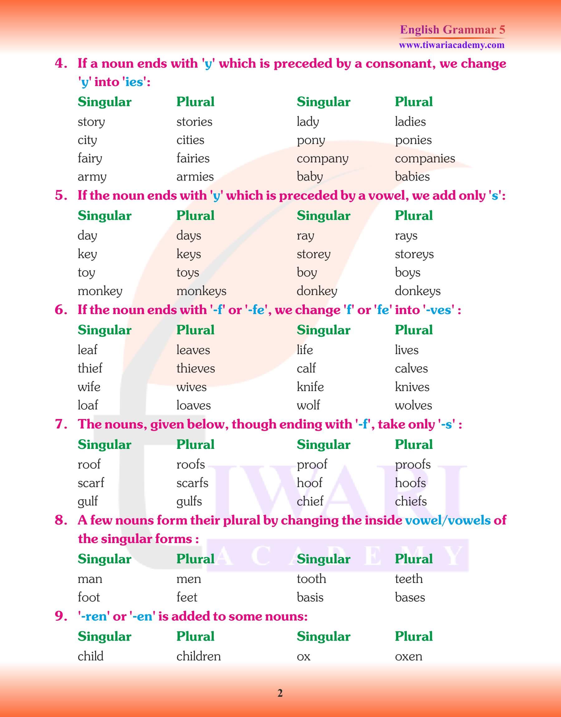 Class 5 Grammar Noun Number Examples