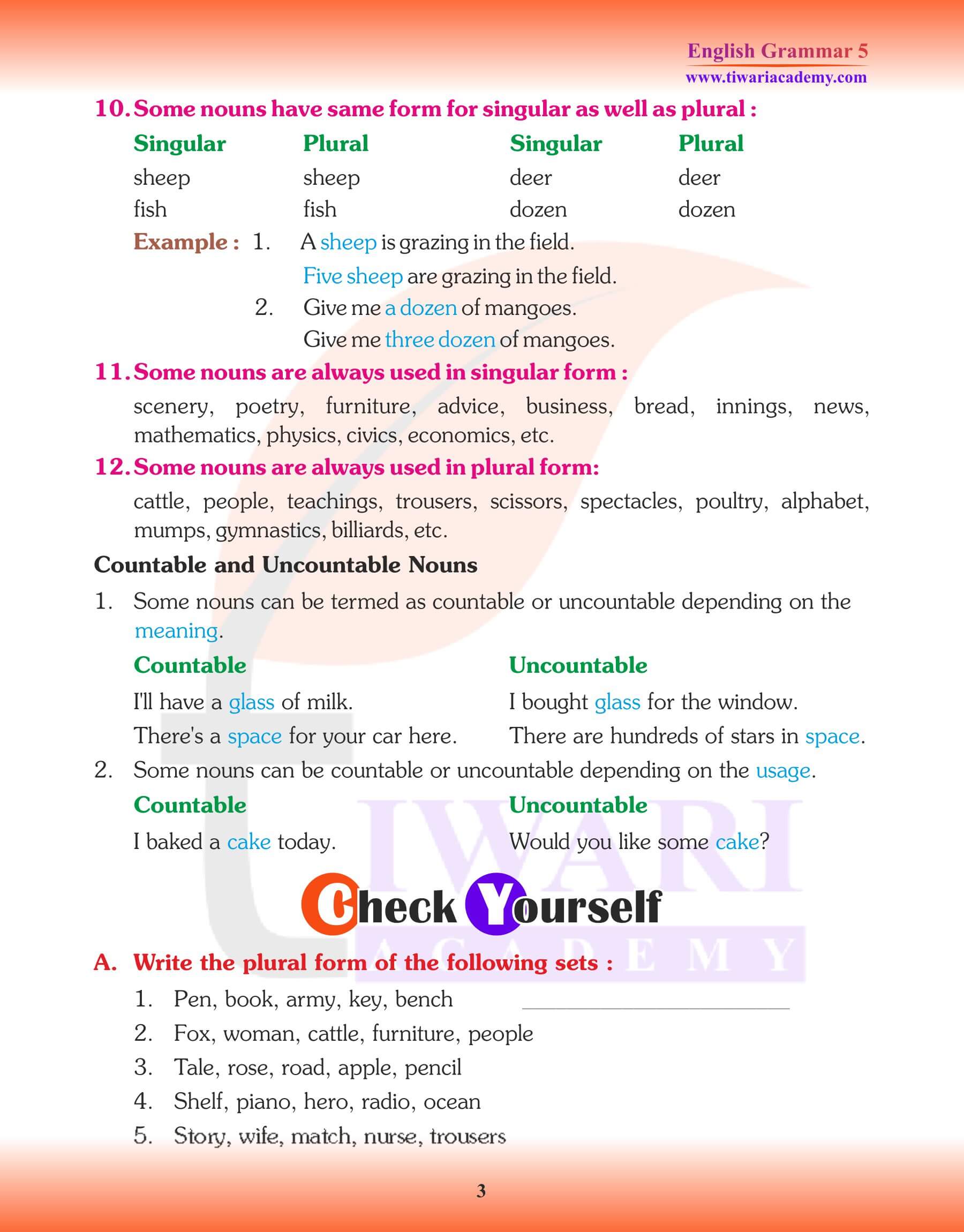 Class 5 Grammar Noun Number QA