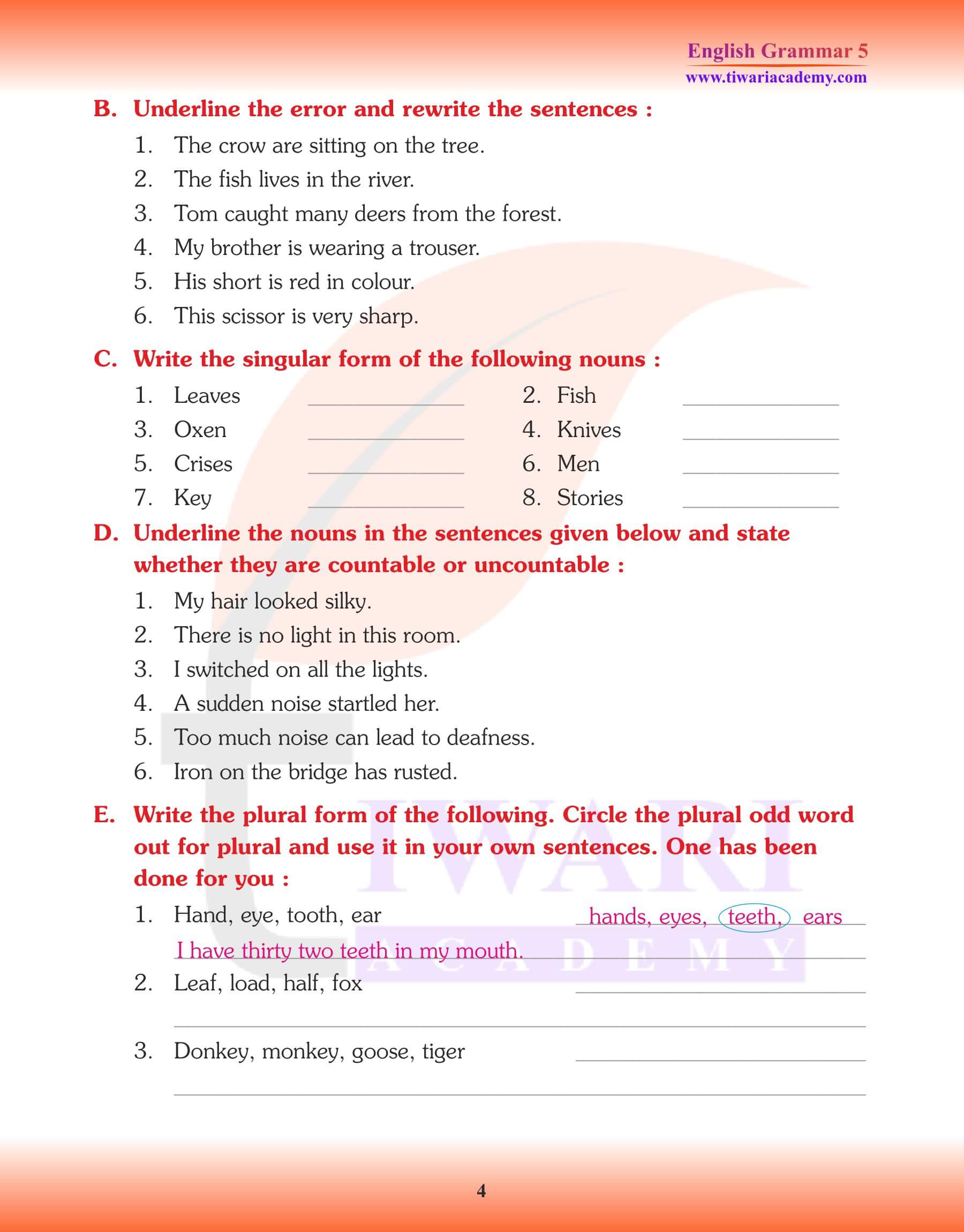 Class 5 Grammar Noun Number Worksheets