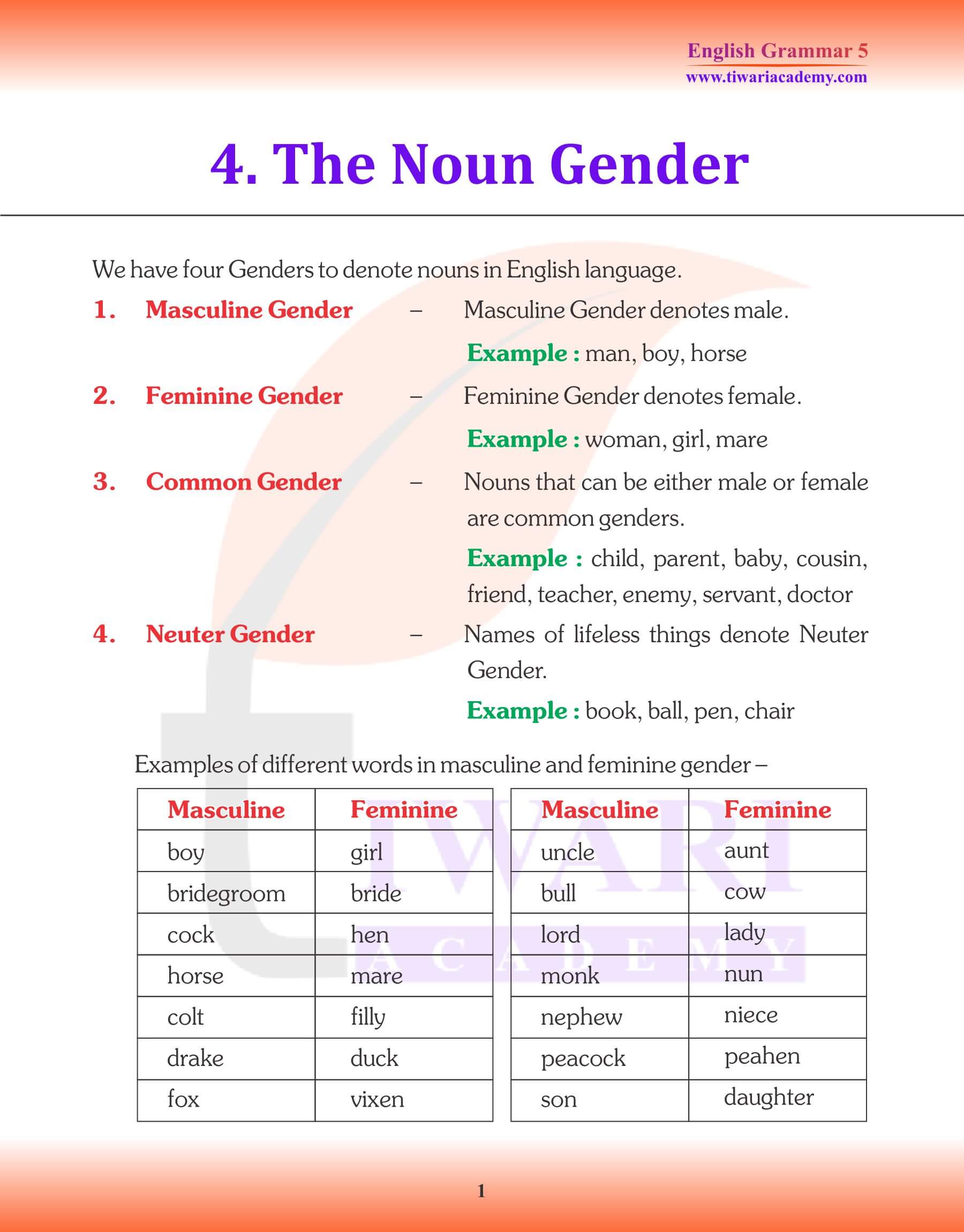 Class 5 English Grammar Noun Gender Revision Book