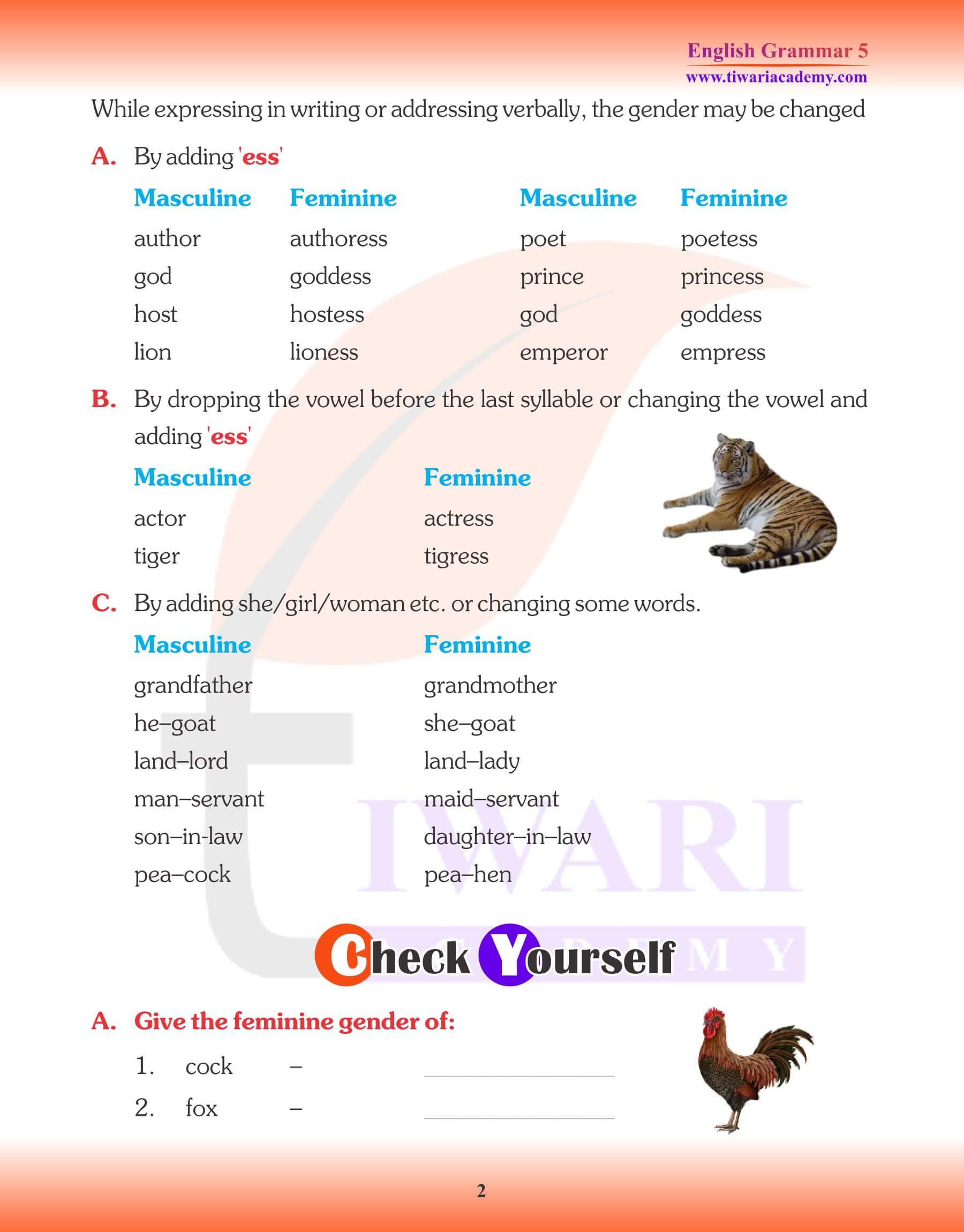 Class 5 English Grammar Noun Gender Assignments